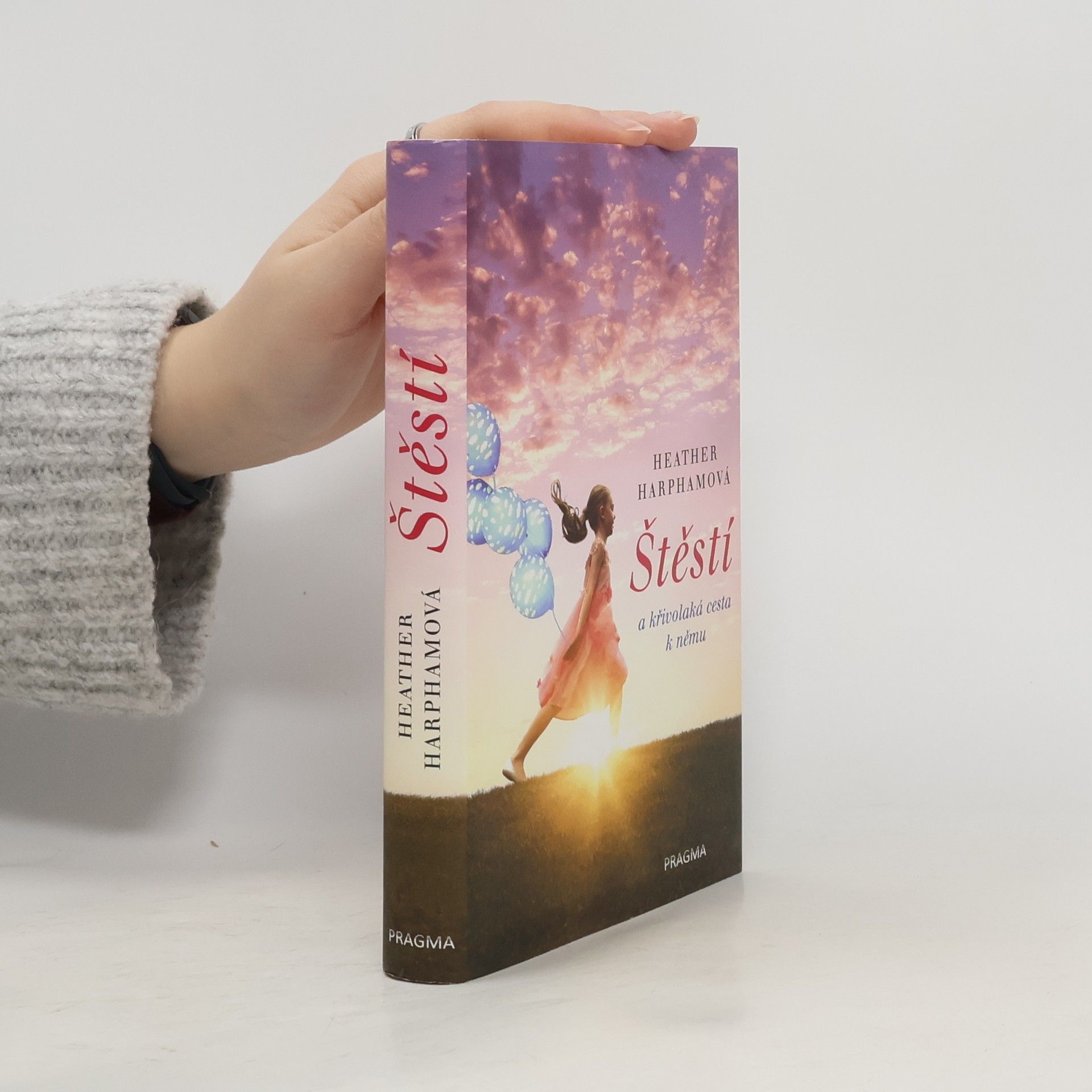 Štěstí : a křivolaká cesta k němu