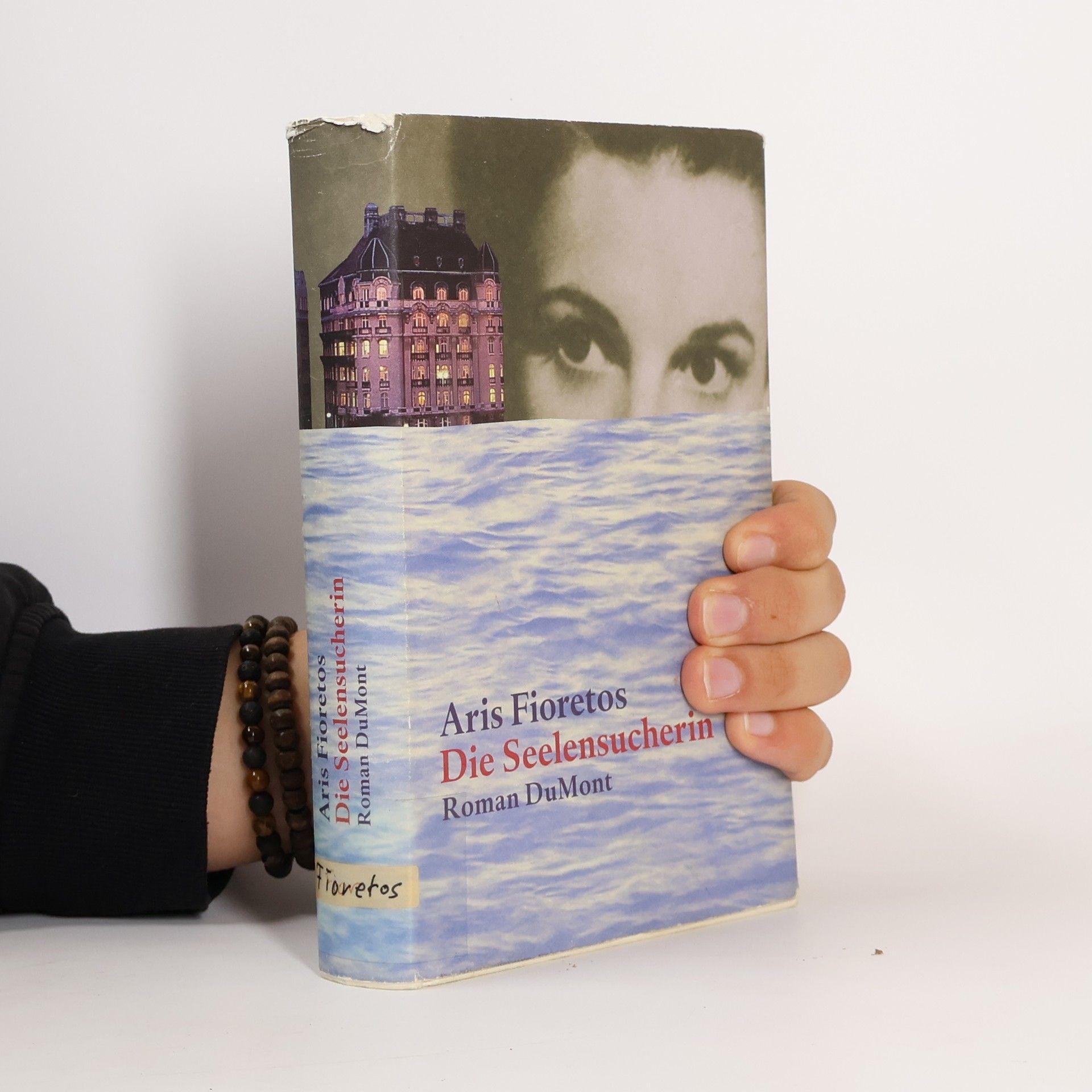 Aris Fioretos Die Seelensucherin