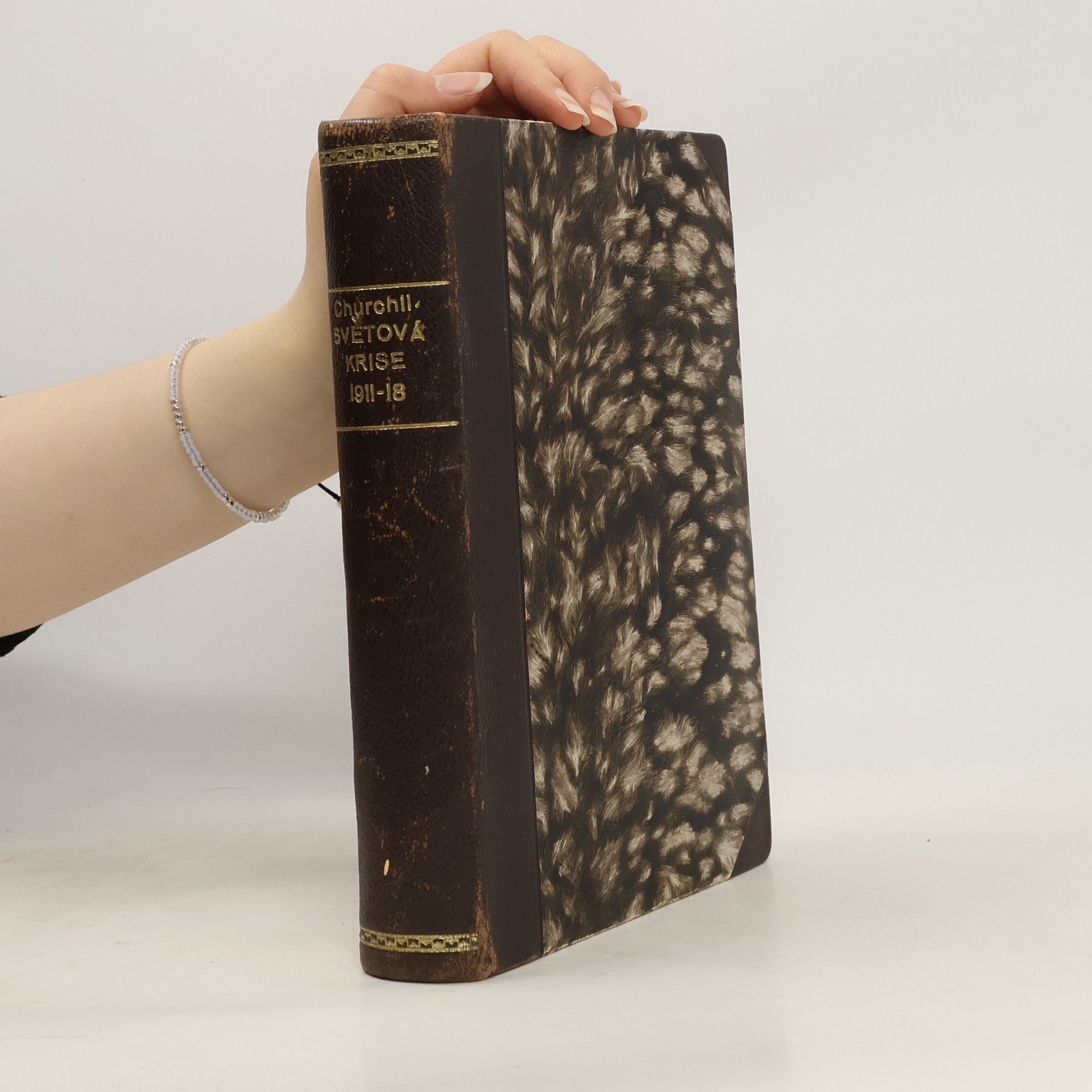 Winston S. Churchill Světová krise 1911-1918. Kniha I.