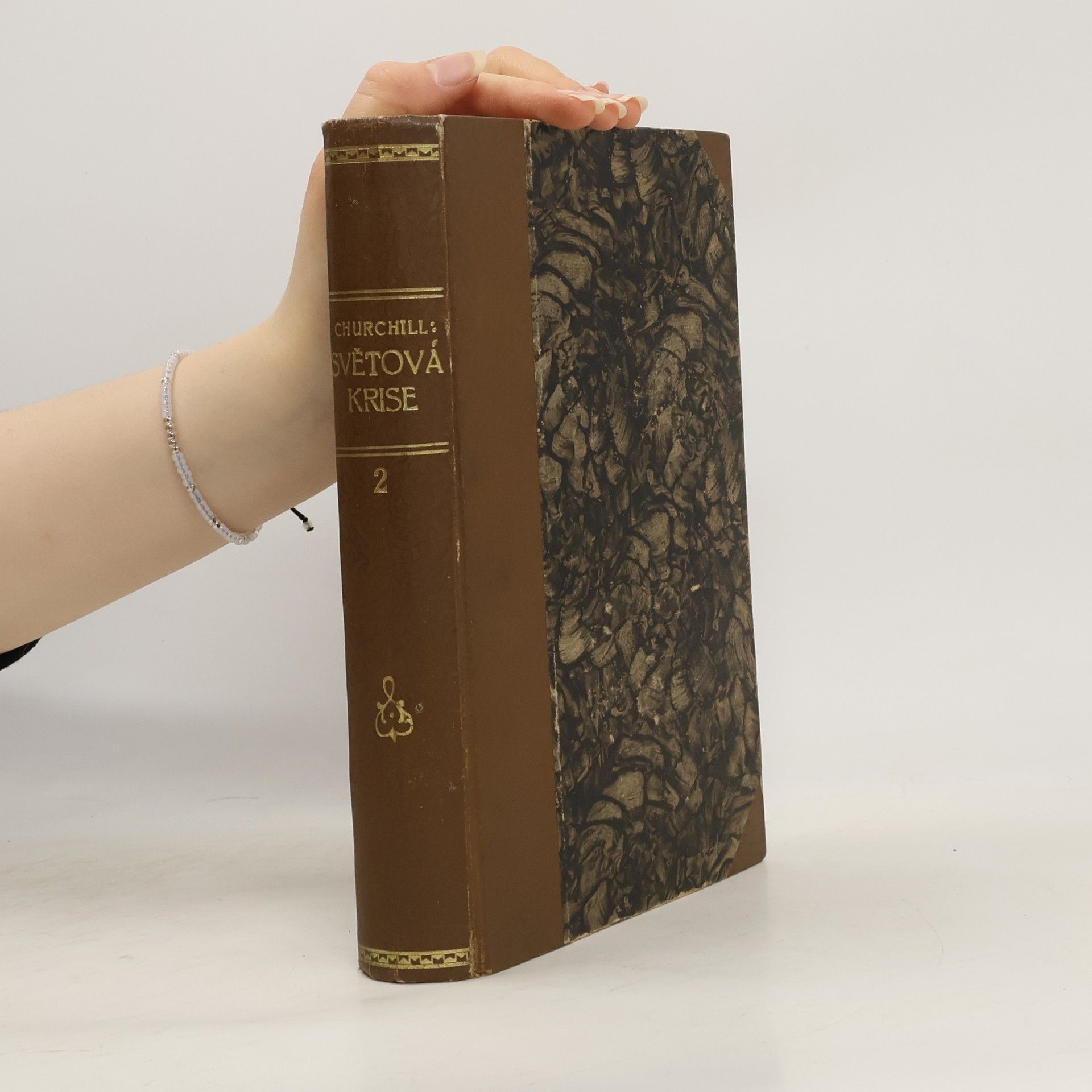 Winston Churchill Světová krise 1911-1918, Kniha 2. 1915