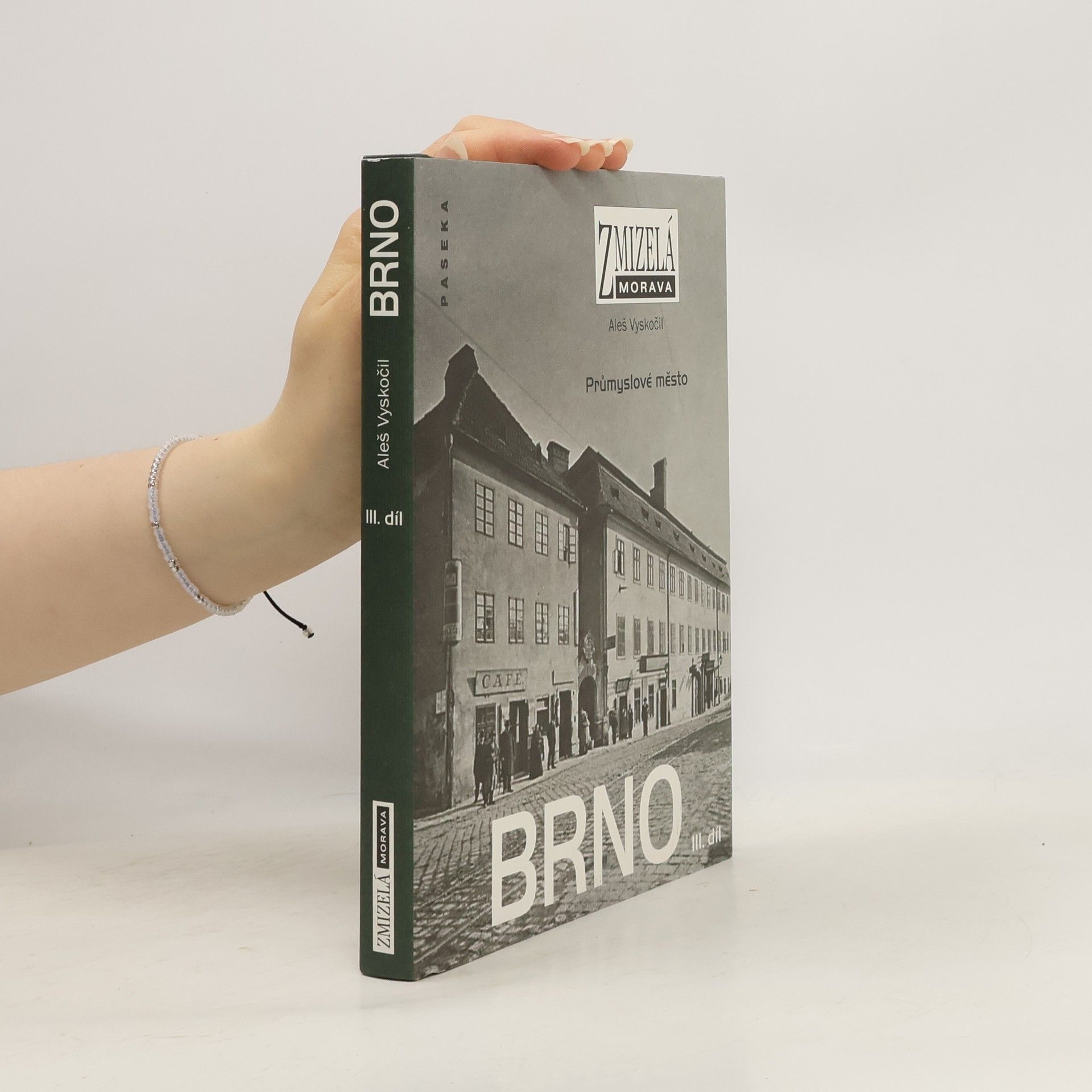 Aleš Vyskočil Brno III. díl: Průmyslové město