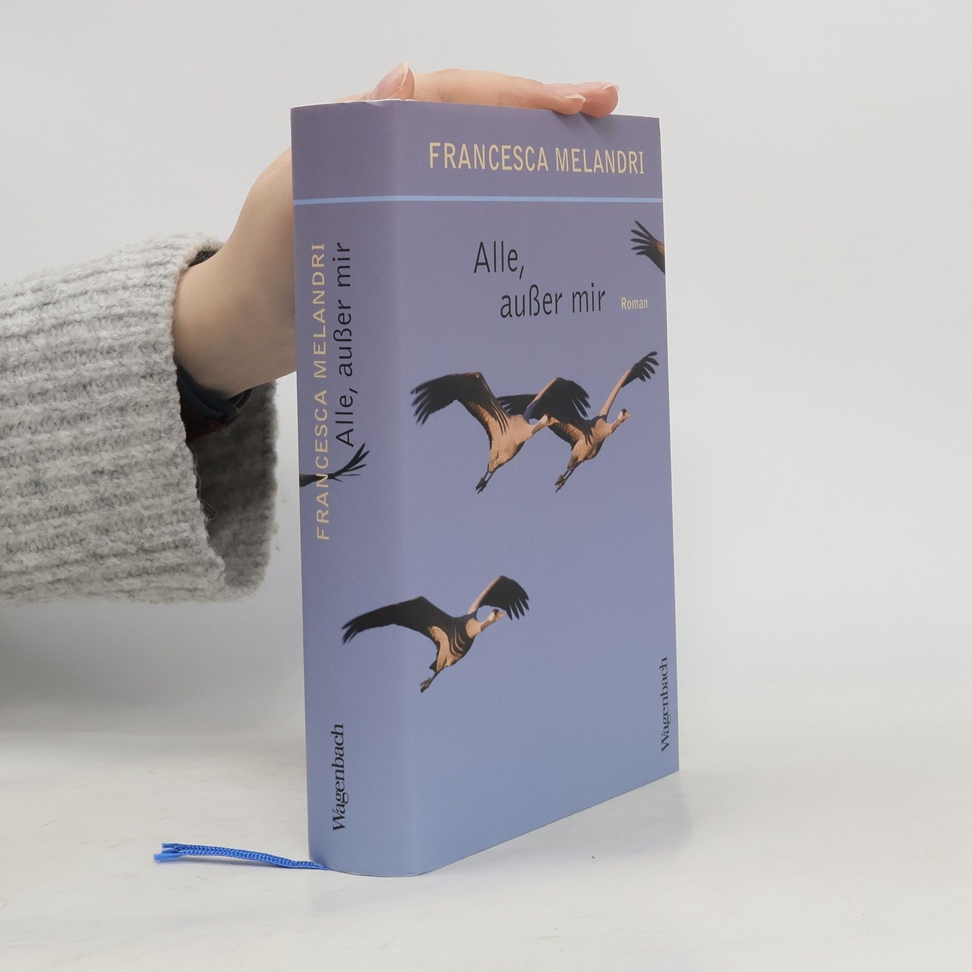Francesca Melandri Alle, außer mir