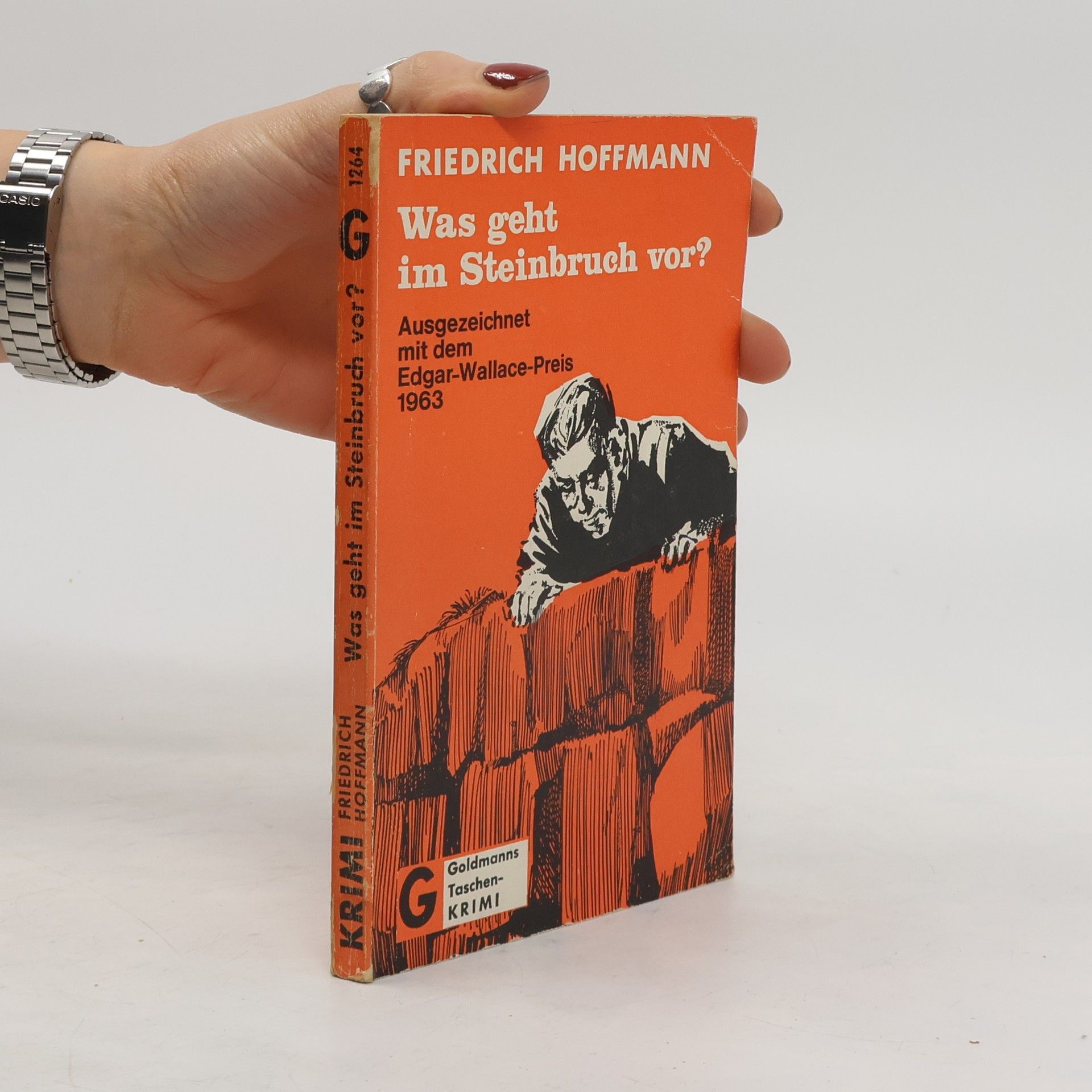 Friedrich Hoffman Was geht im Steinbruch vor?