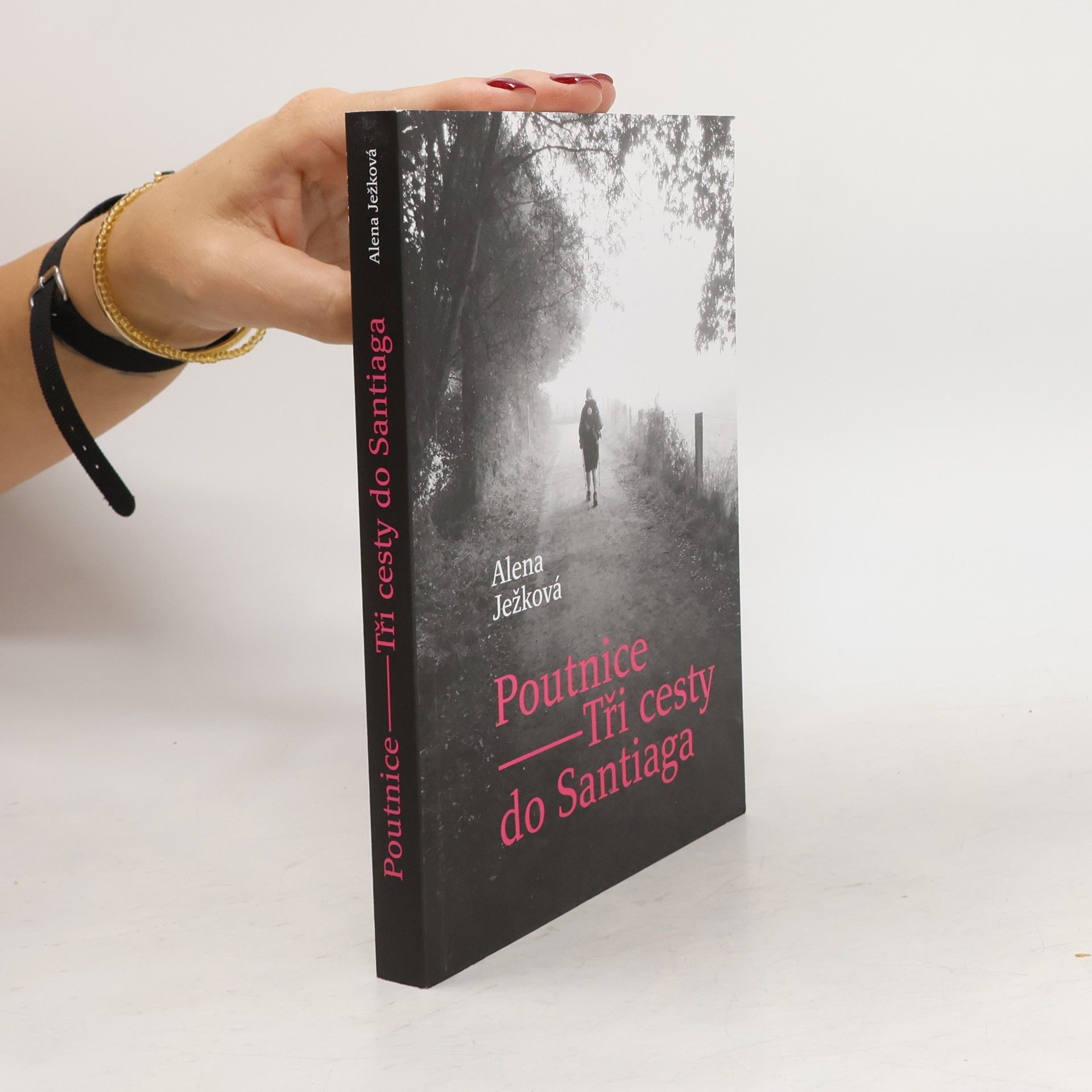 Poutnice: Tři cesty do Santiaga