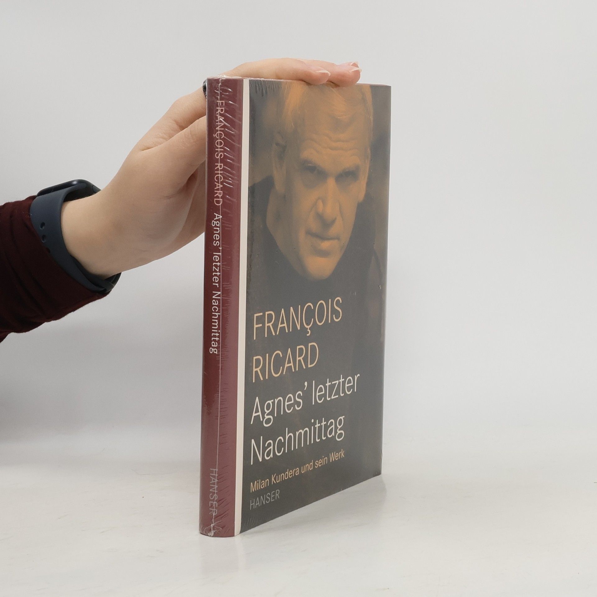 François Ricard Agnes' letzter Nachmittag