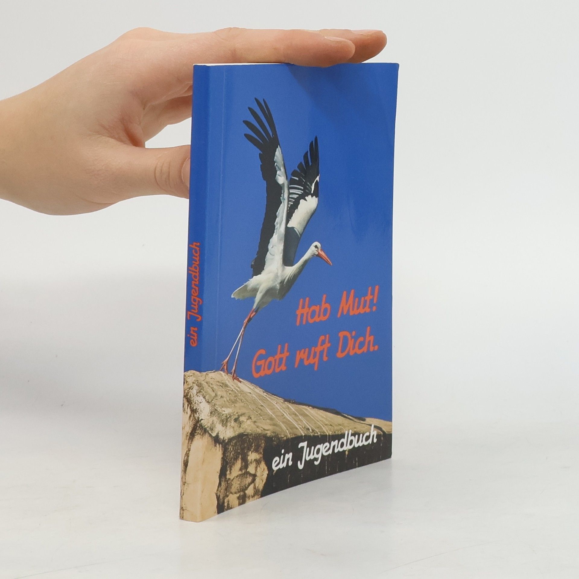 Autorenkollektiv Hab Mut! Gott ruft Dich.