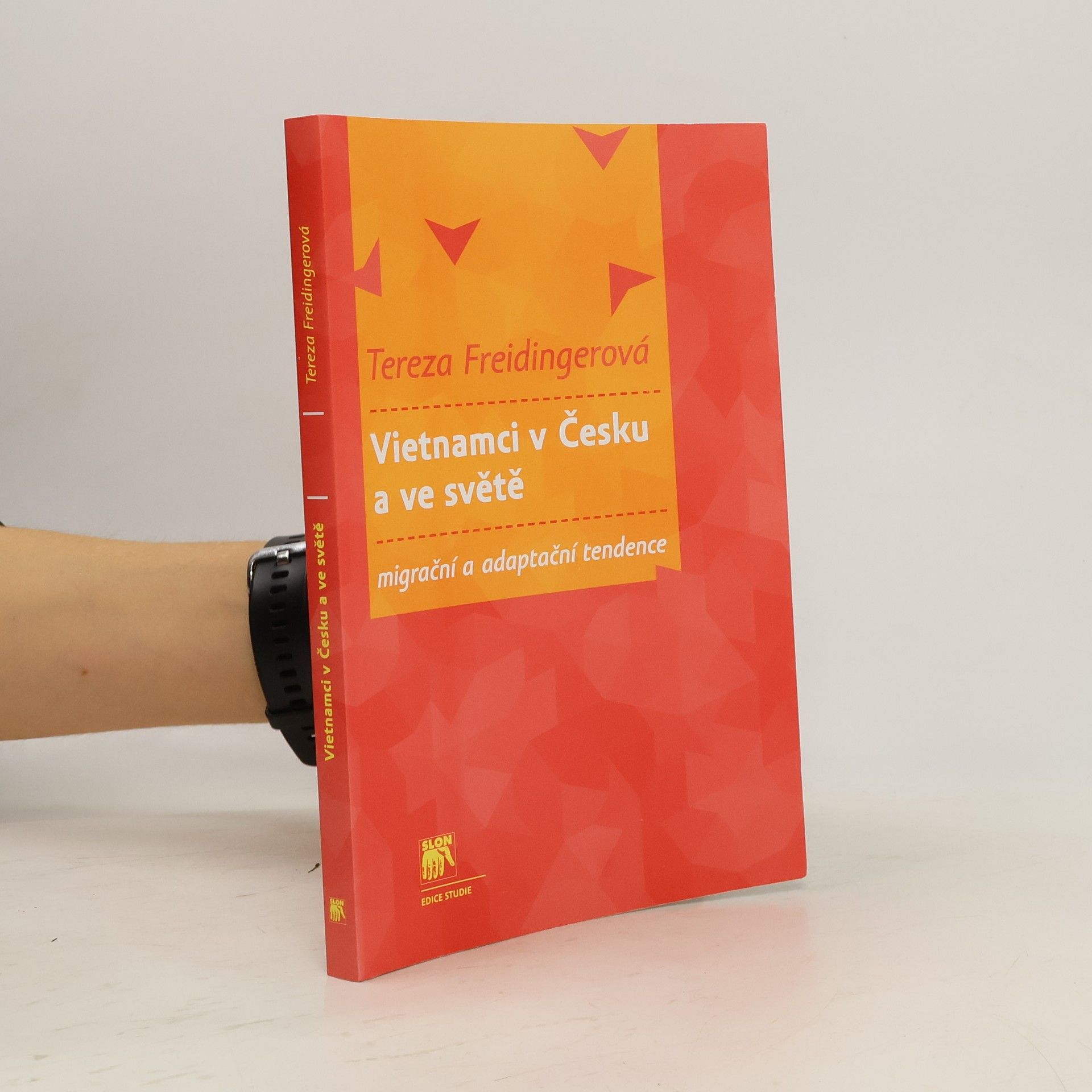 Vietnamci v Česku a ve světě. Migrační a adaptační tendence