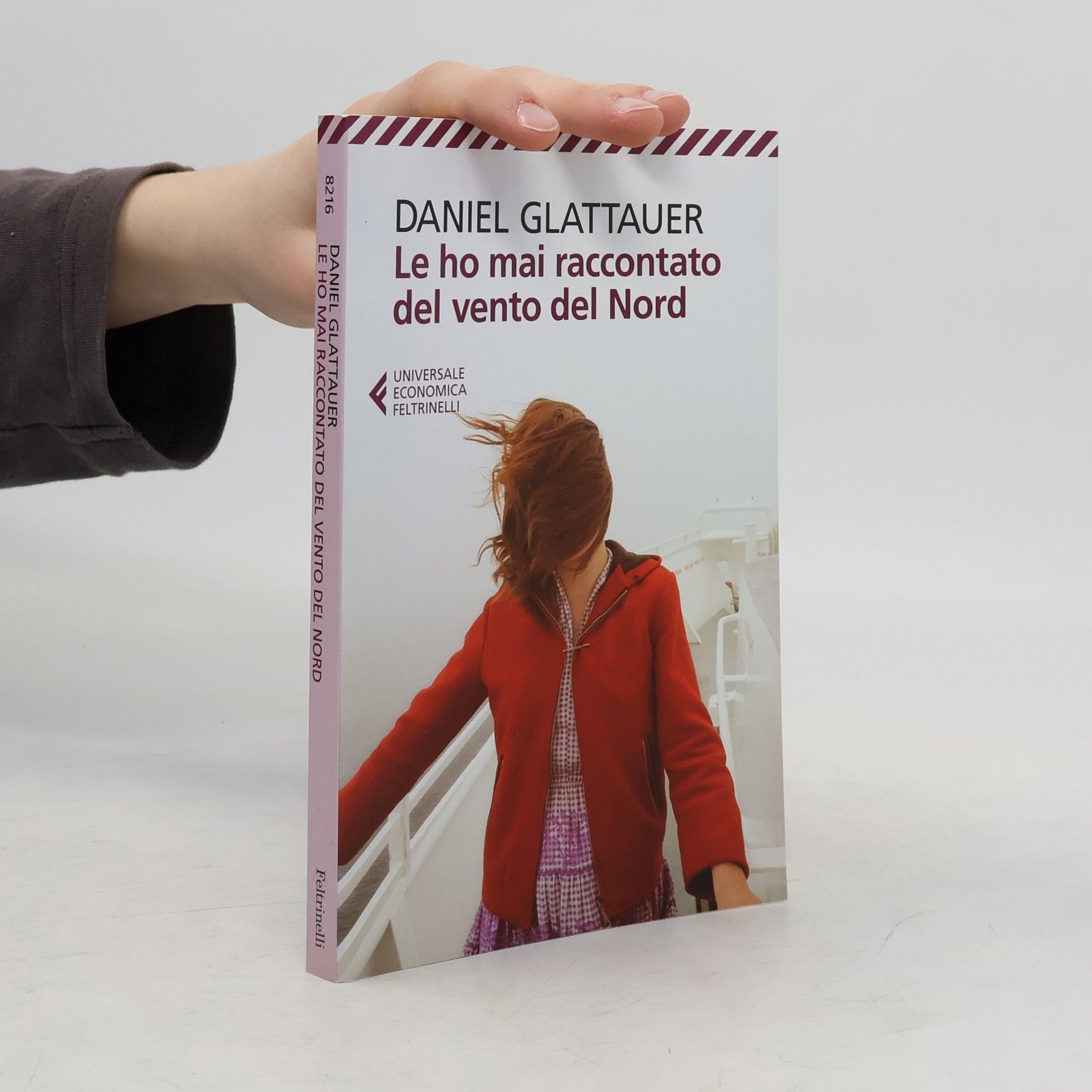 Daniel Glattauer Le ho mai raccontato del vento del Nord