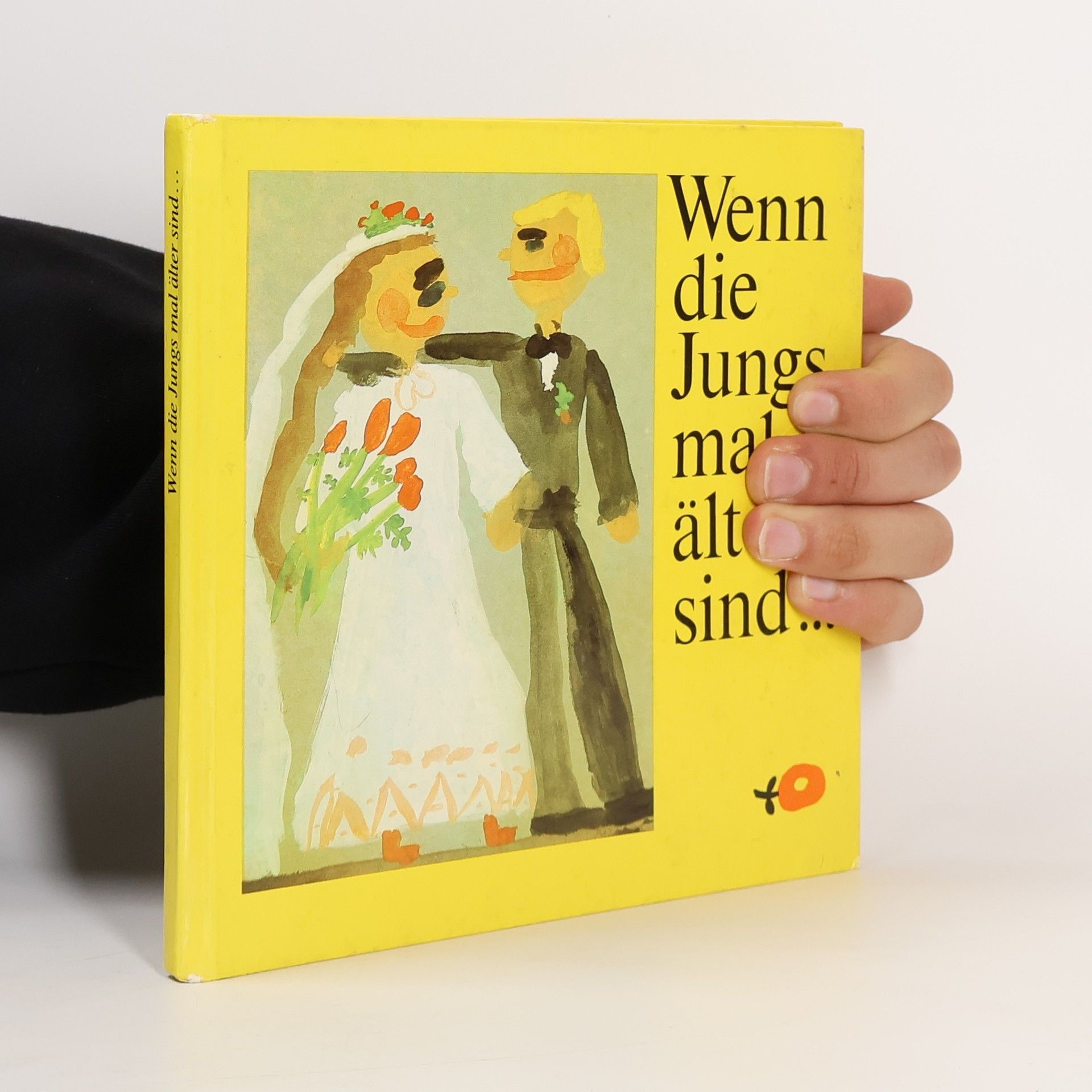 Kolektív autorov Wenn die Jungs mal ält sind...