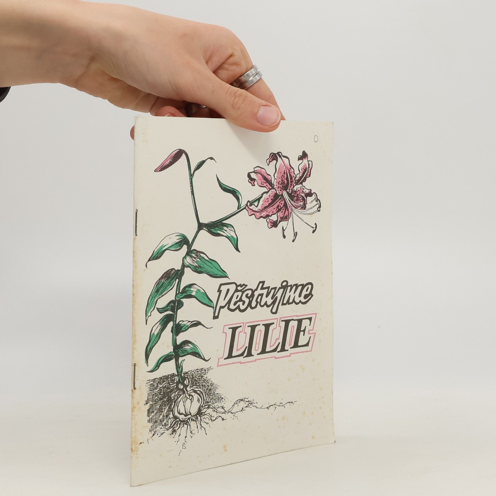 Virgina Howieová Pěstujme lilie