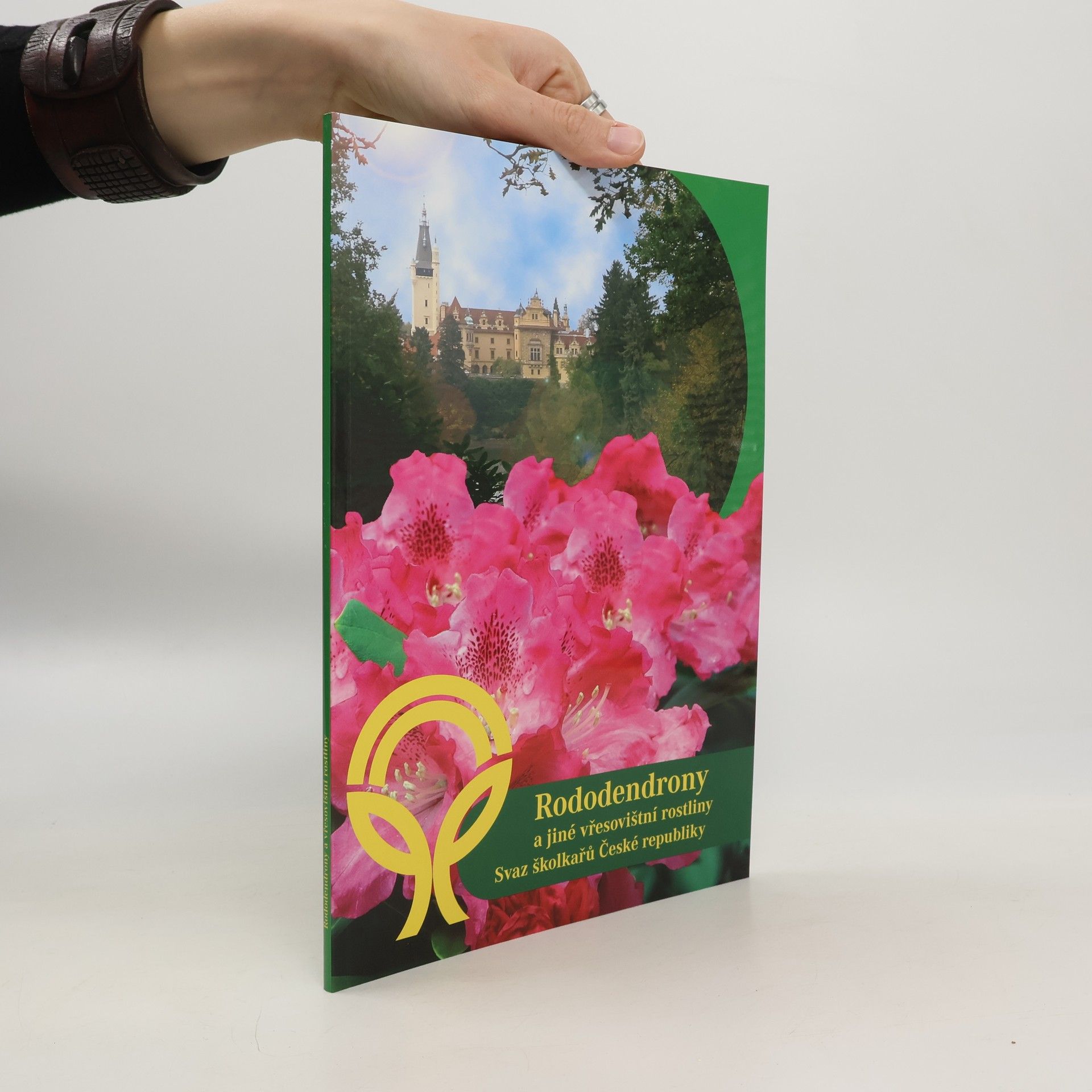 Collectif d'auteurs Rododendrony a jiné vřesovištní rostliny