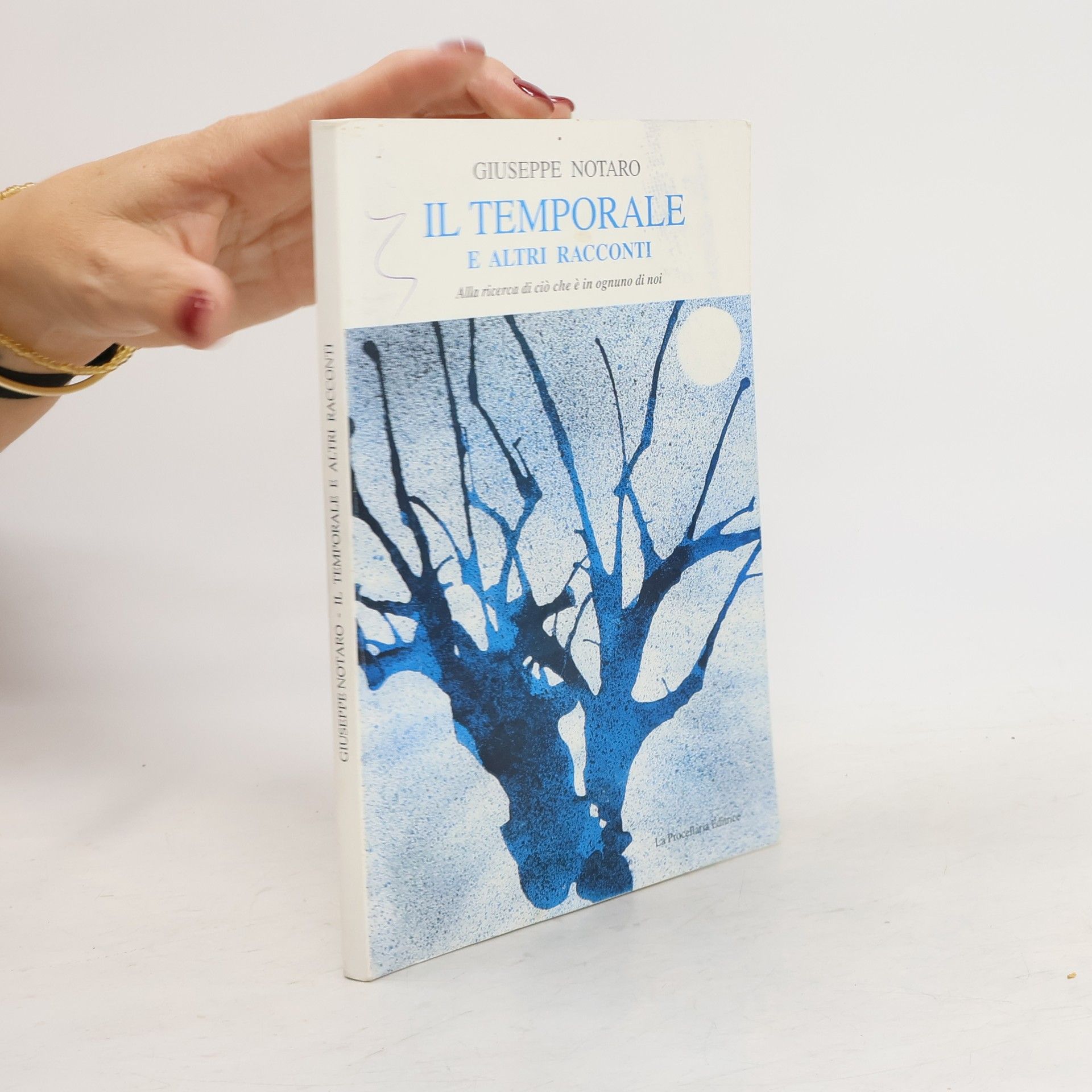 Guiseppe Notaro Il temporale e altri racconti