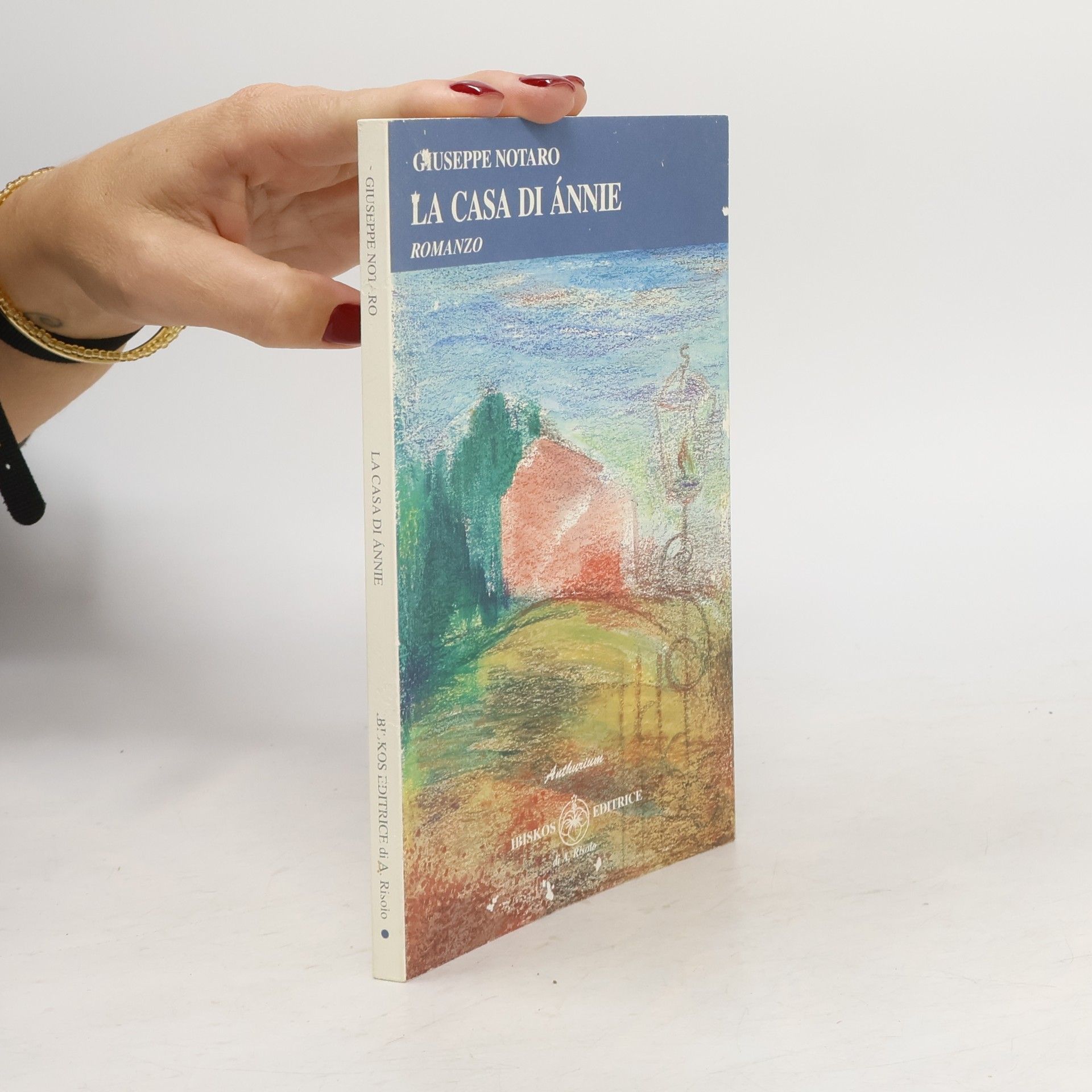 Giuseppe Notaro La casa di Annie