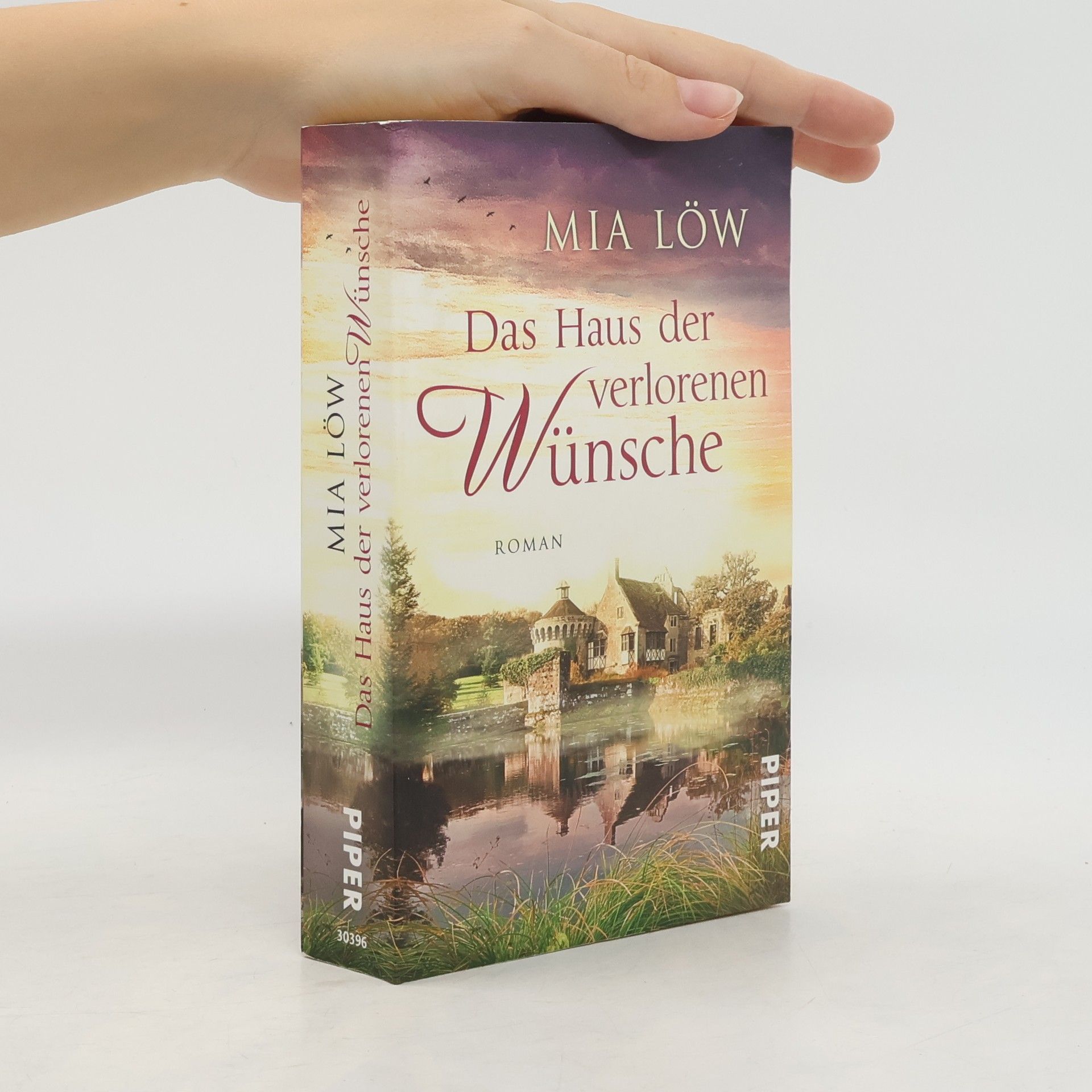 Das Haus der verlorenen Wünsche