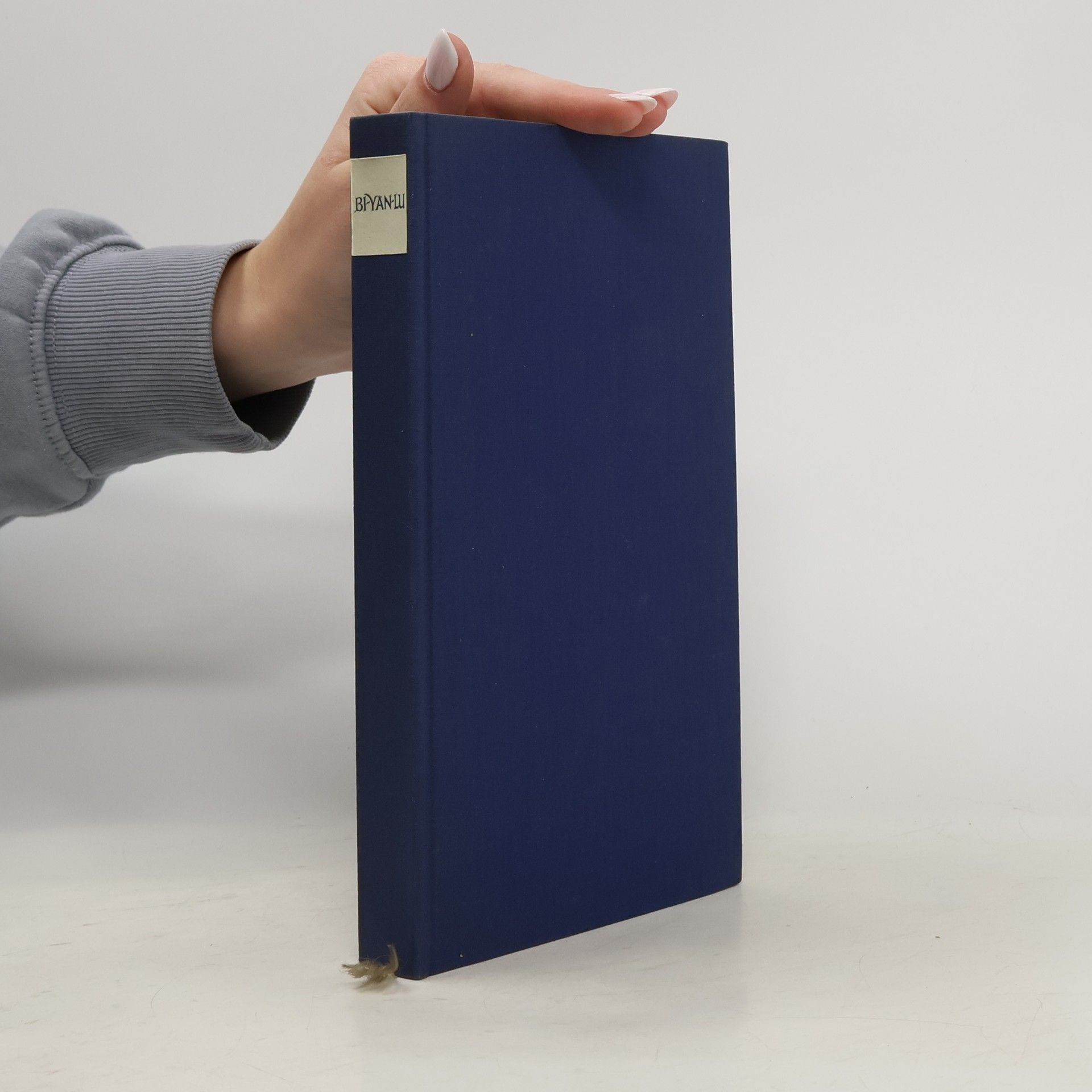 Meister Yüan-wu's Niederschrift von der Smaragdenen Felswand