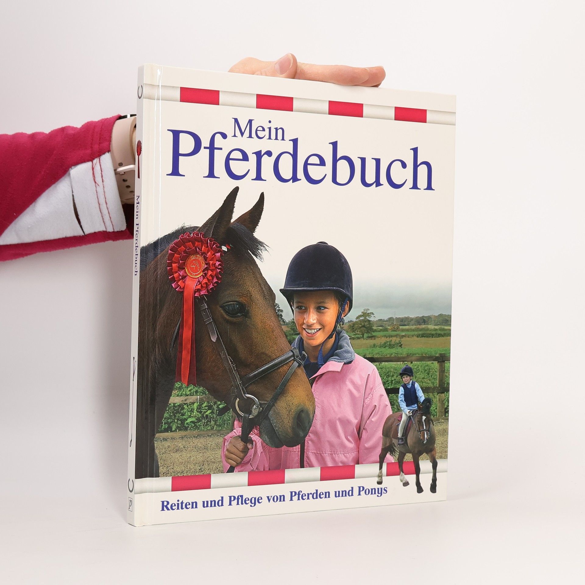 Autorenkollektiv Mein Pferdebuch