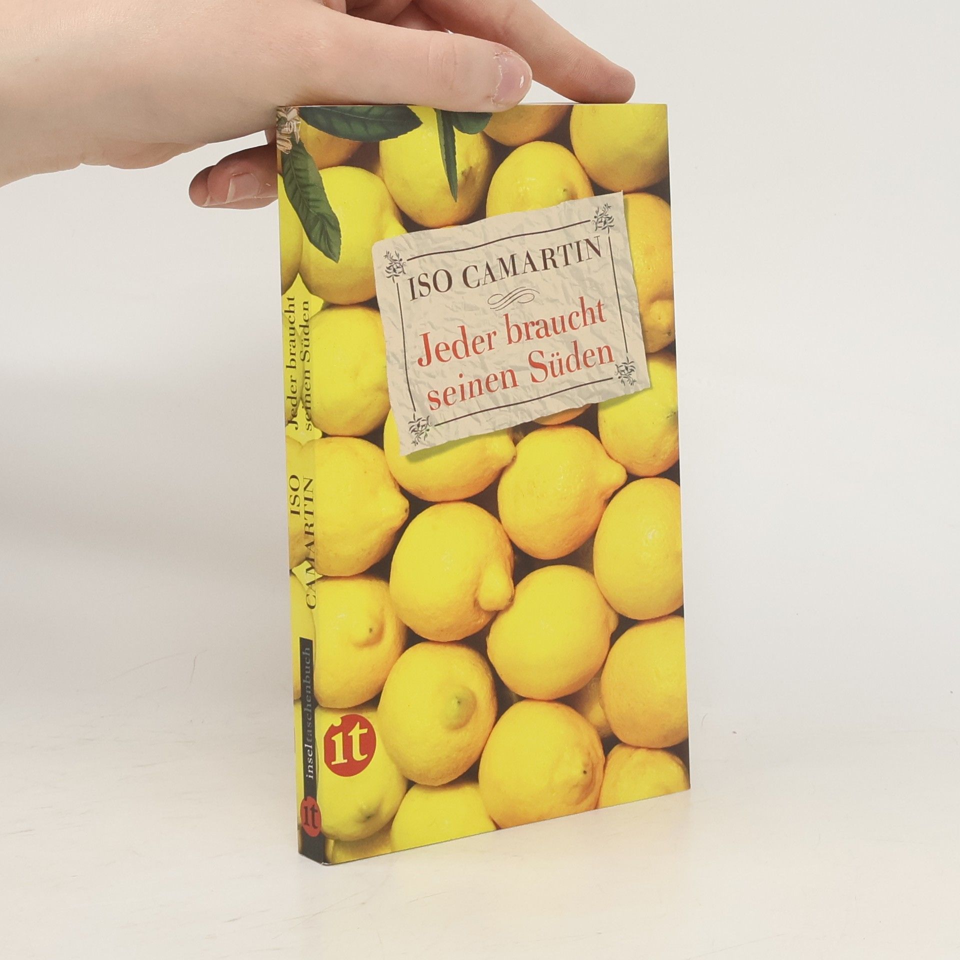 Iso Camartin Jeder braucht seinen Süden