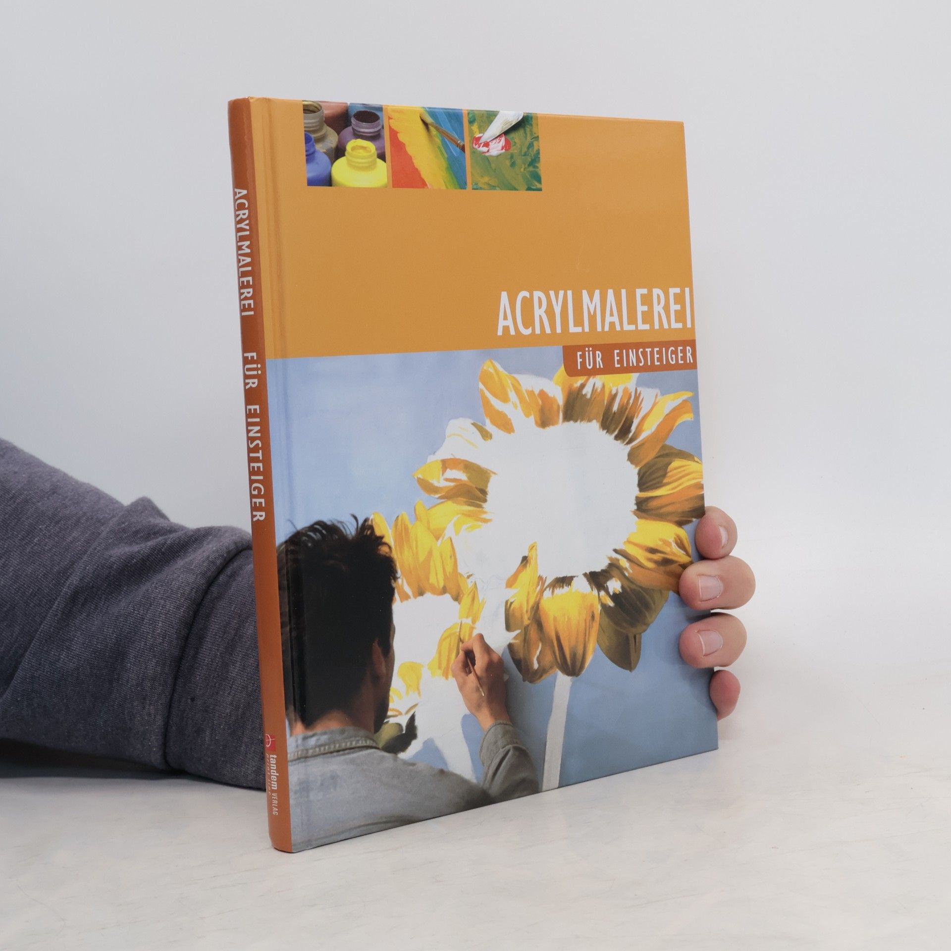 Autorenkollektiv Acrylmalerei für Einsteiger