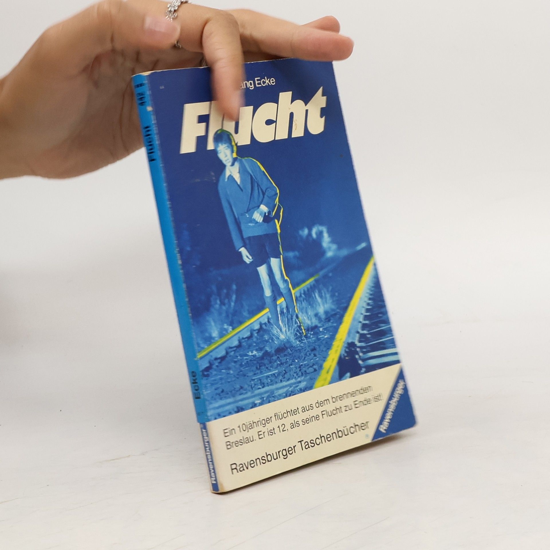 Wolfgang Ecke Flucht. Die Geschichte e. Reise v. Deutschland nach Deutschland