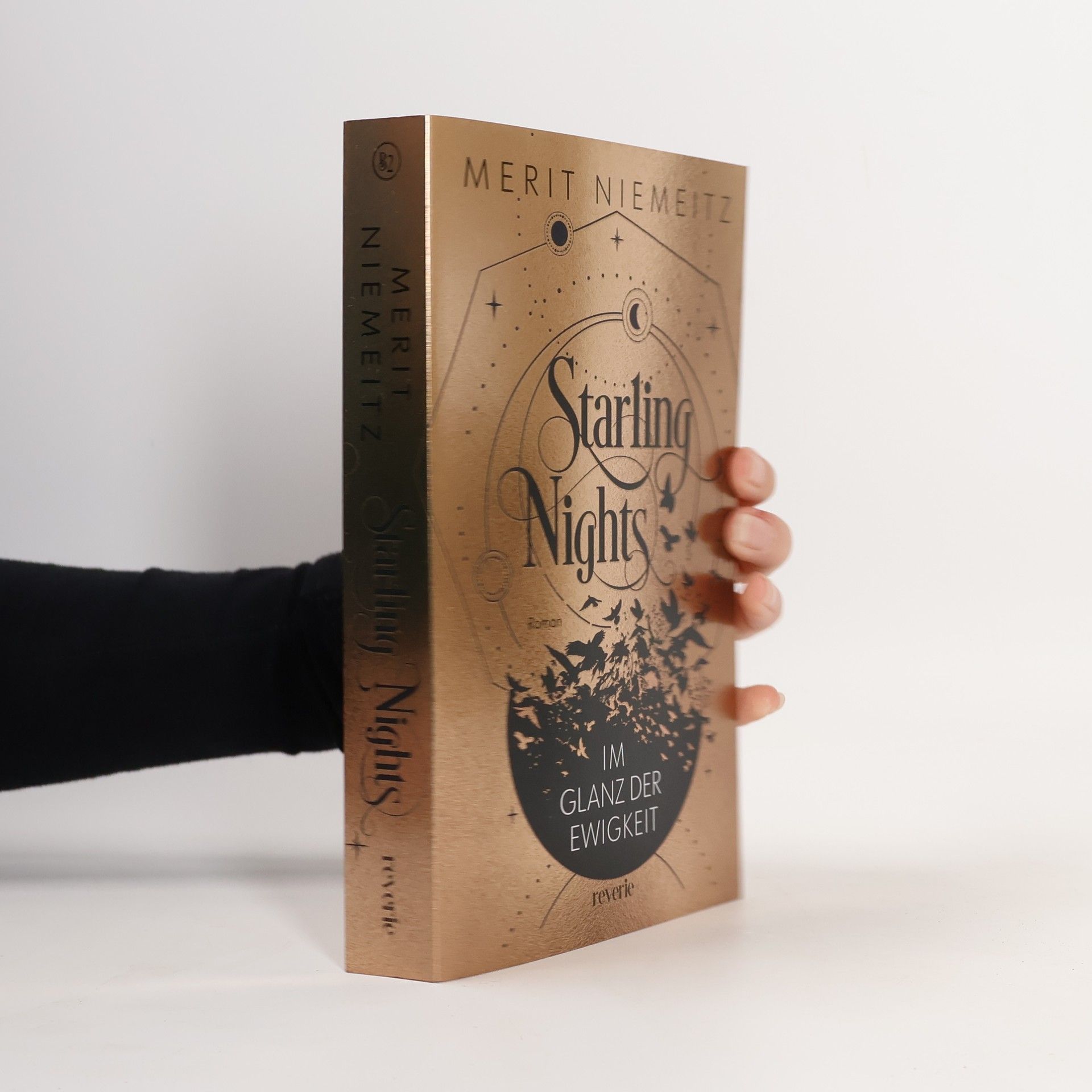 Merit Niemeitz Starling Nights 2