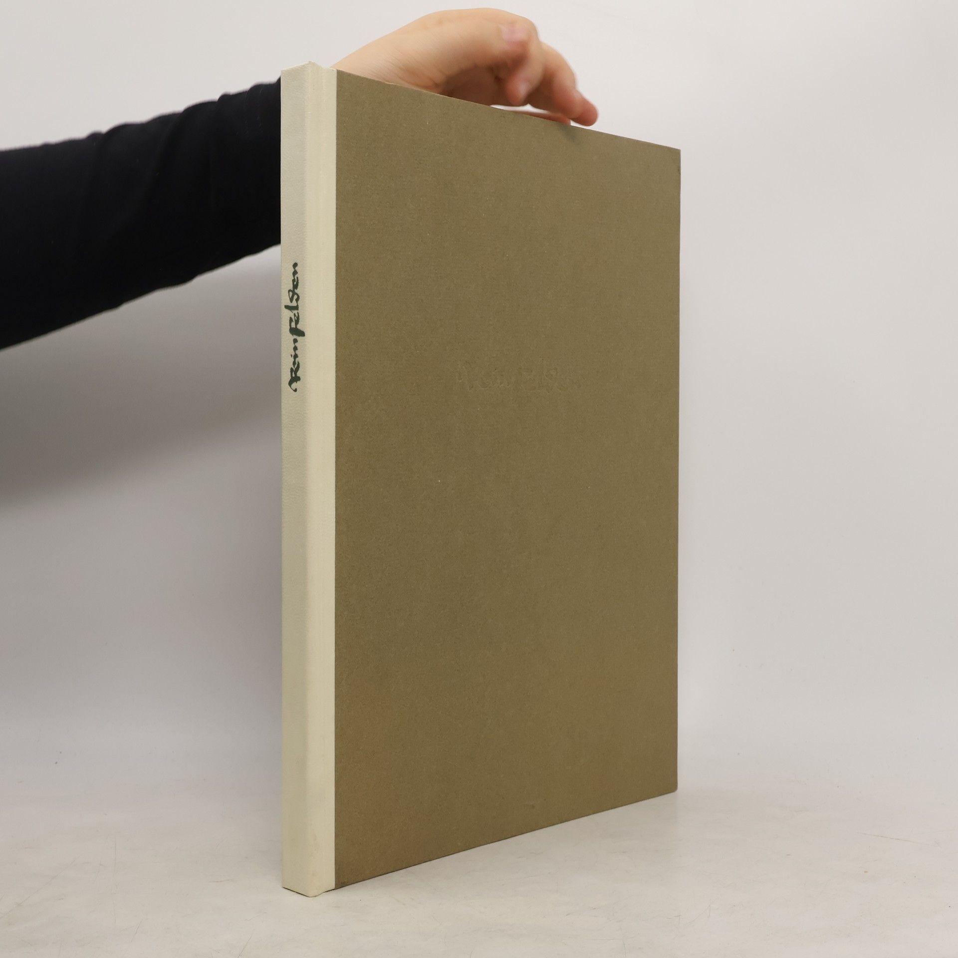 AA.VV. Urbar der Feste Rheinfelden