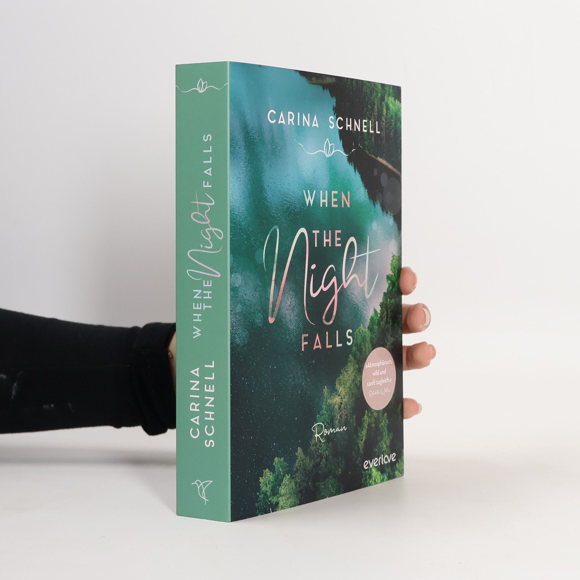 Carina Schnell When the Night Falls