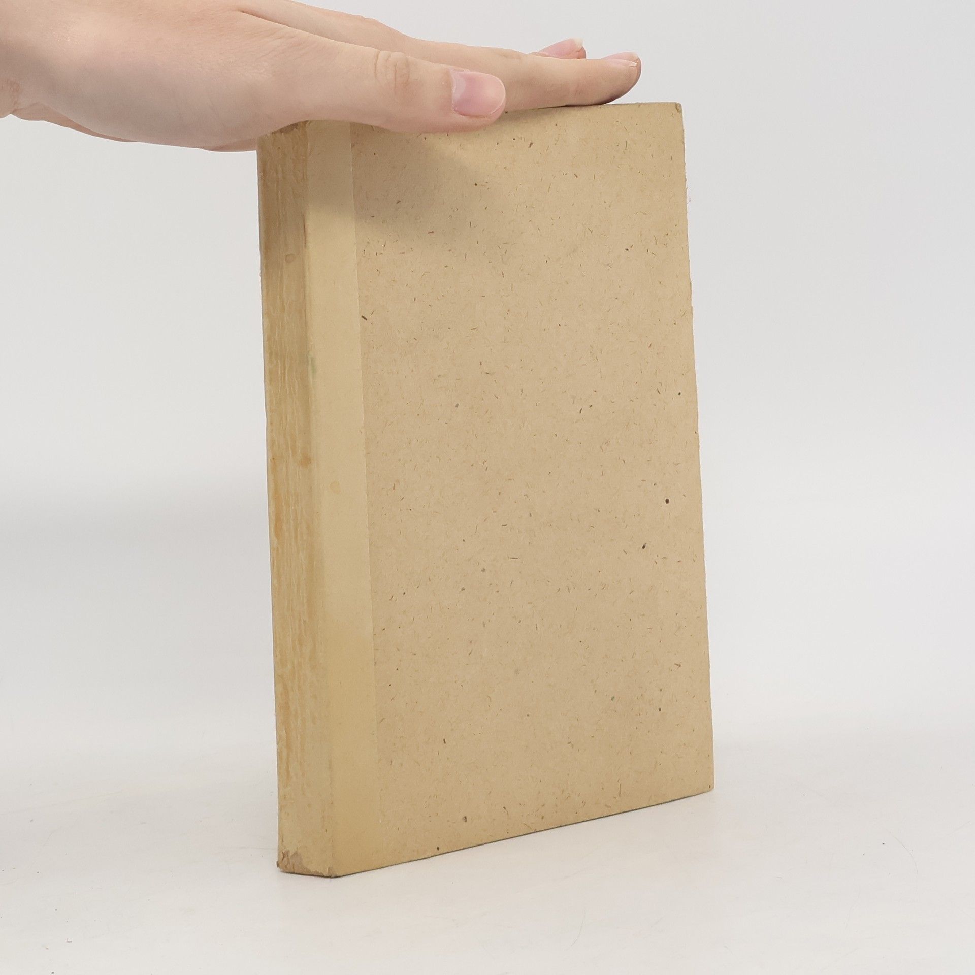 Pavel Hejcman V těchto prchavých okamžicích