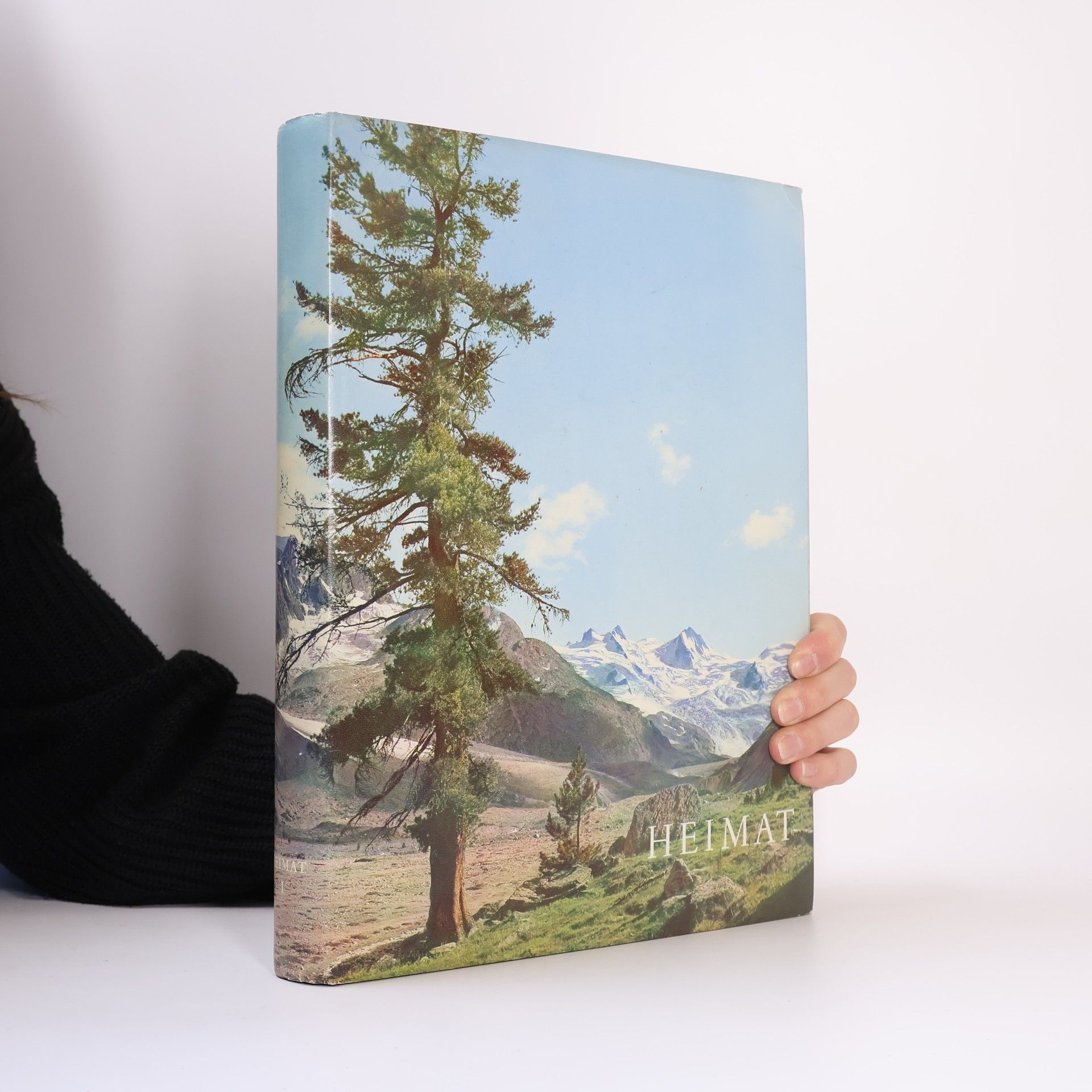 Collectif d'auteurs Heimat