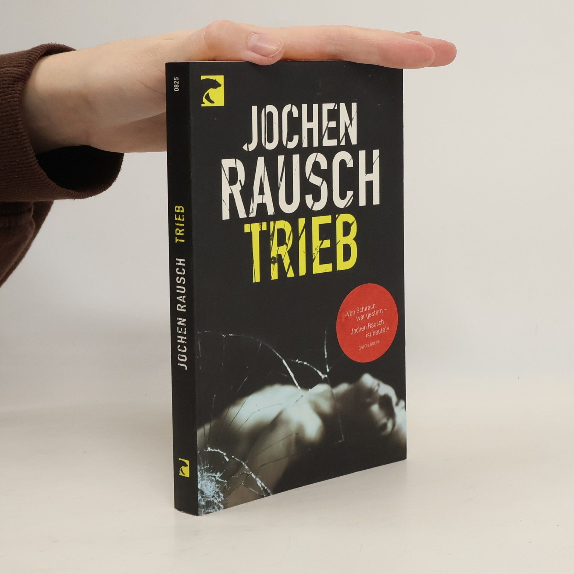 Jochen Rausch Trieb - 13 Storys