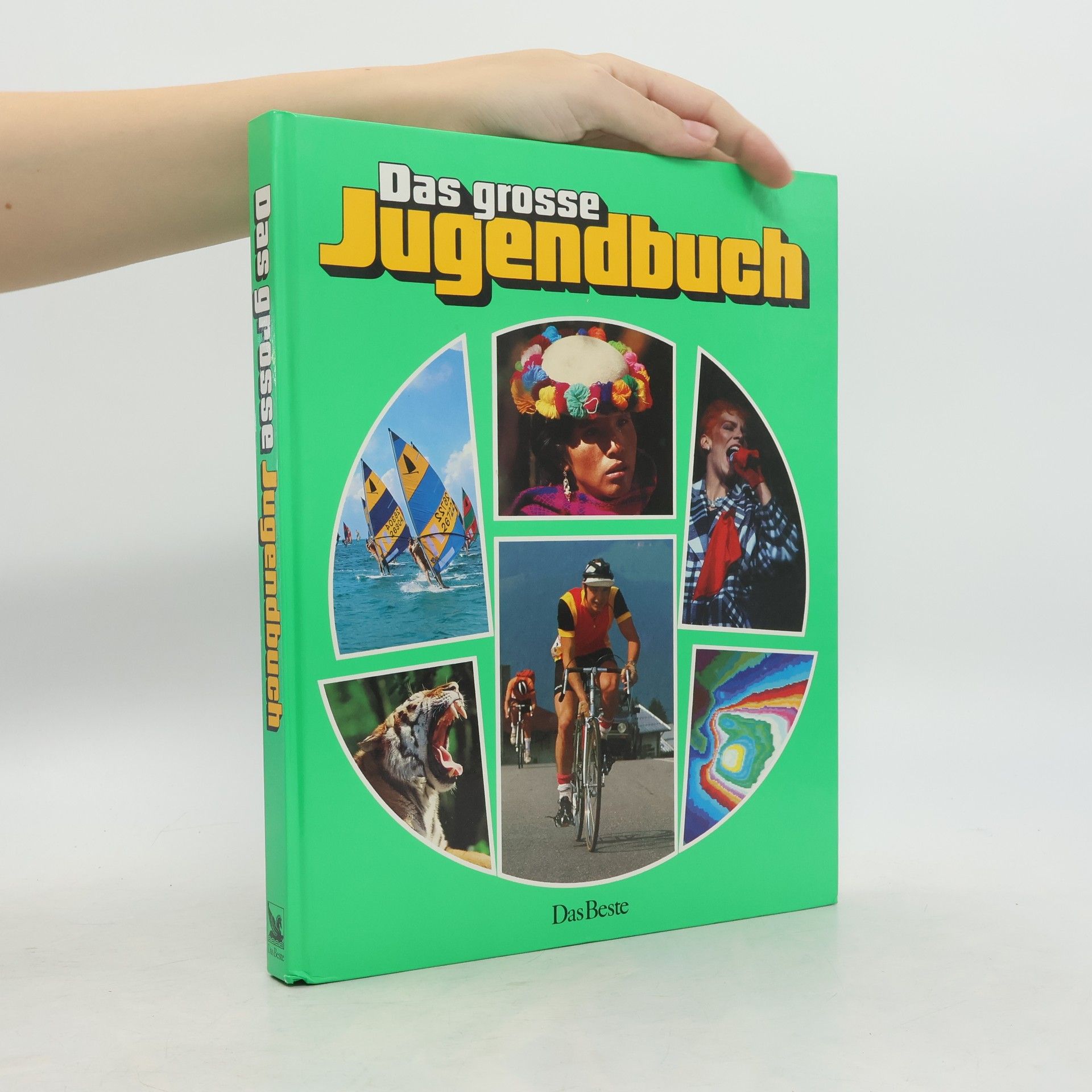 Autorenkollektiv Das große Jugendbuch