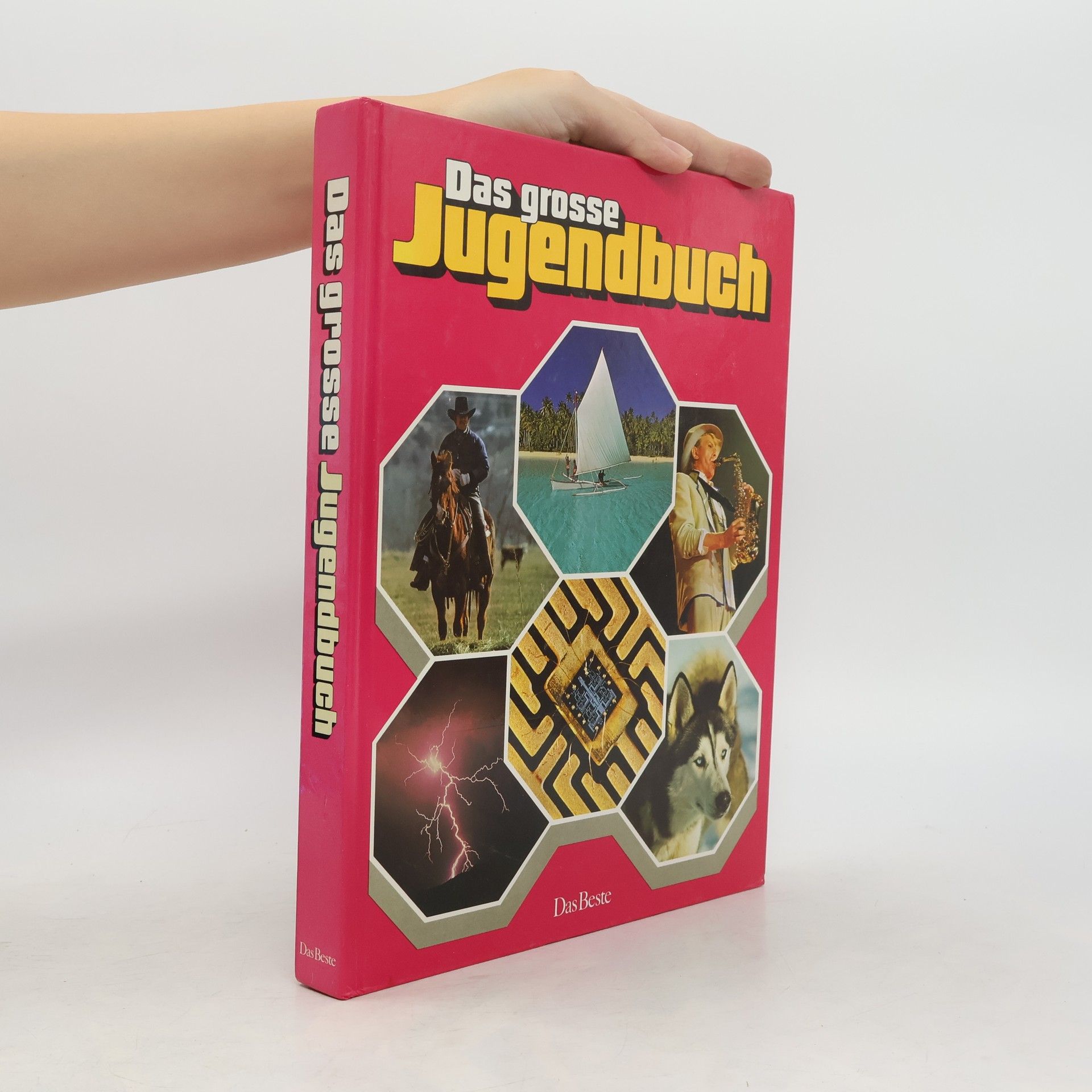 Autores varios Das große Jugendbuch