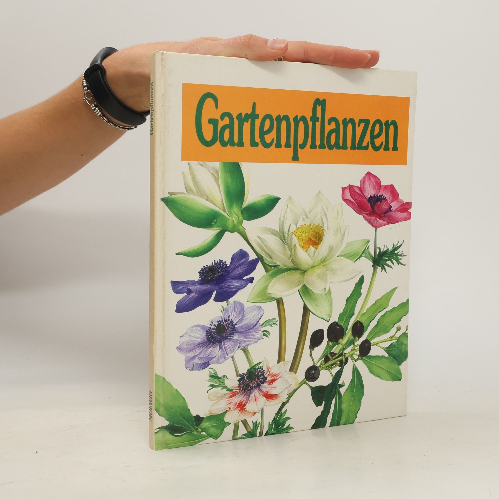 Doris Gottwald Gartenpflanzen