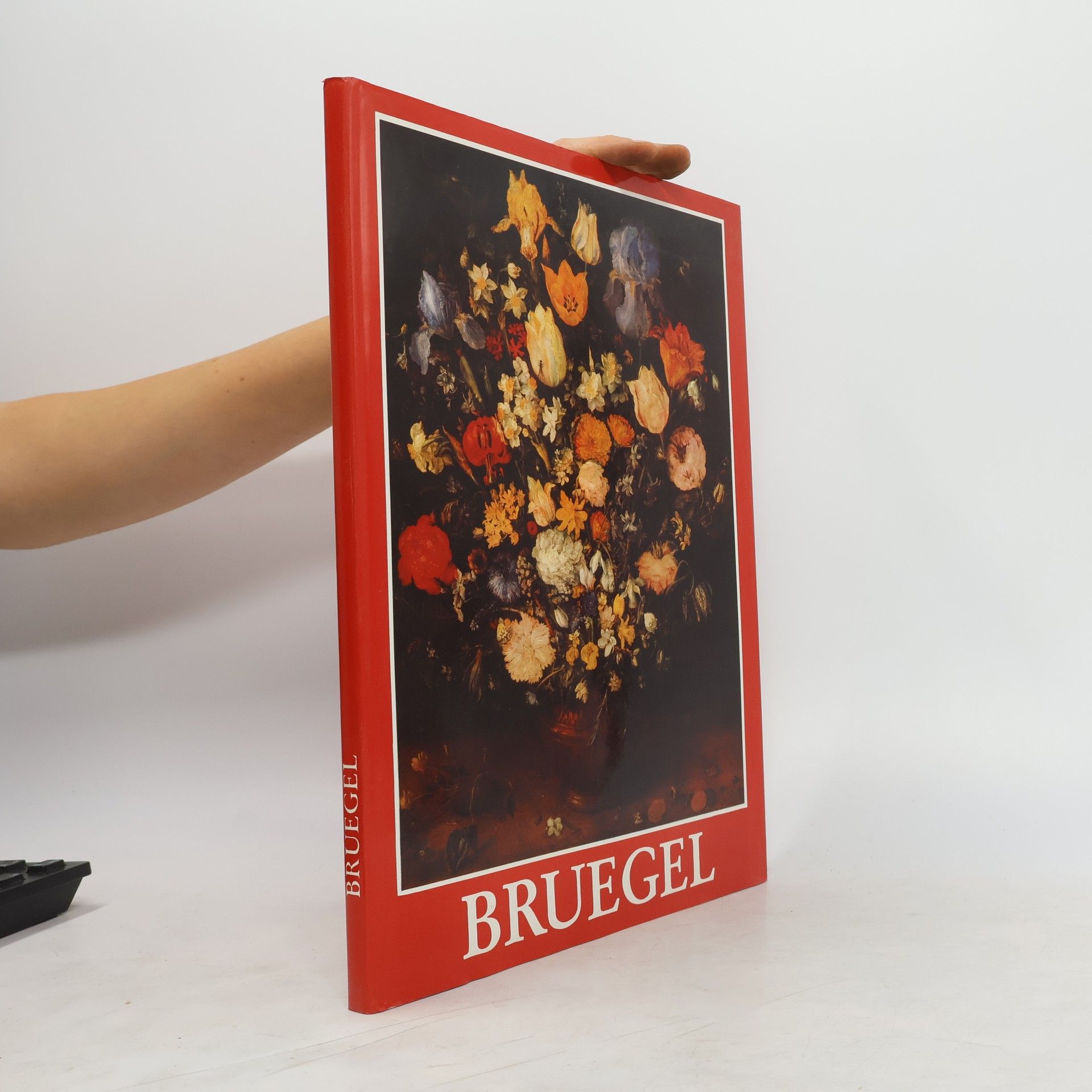 Various authors Bruegel