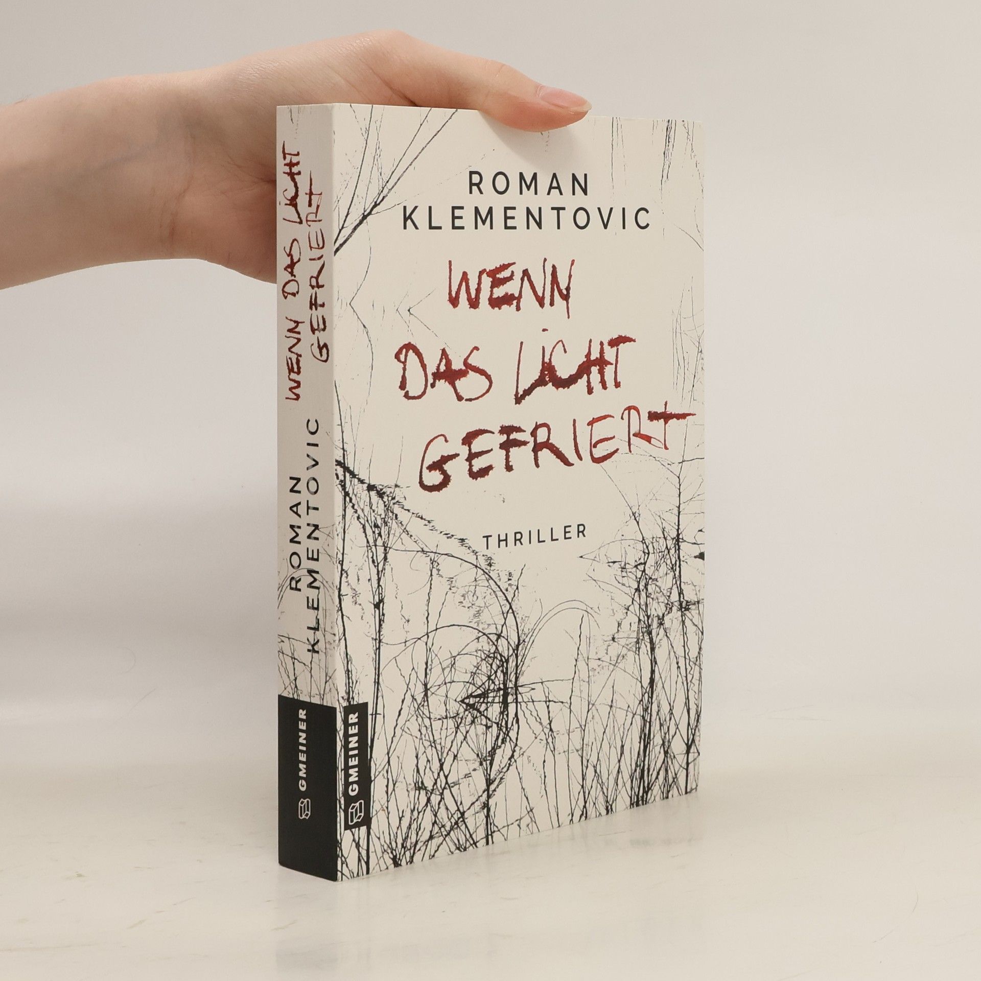 Roman Klementovic Wenn das Licht gefriert