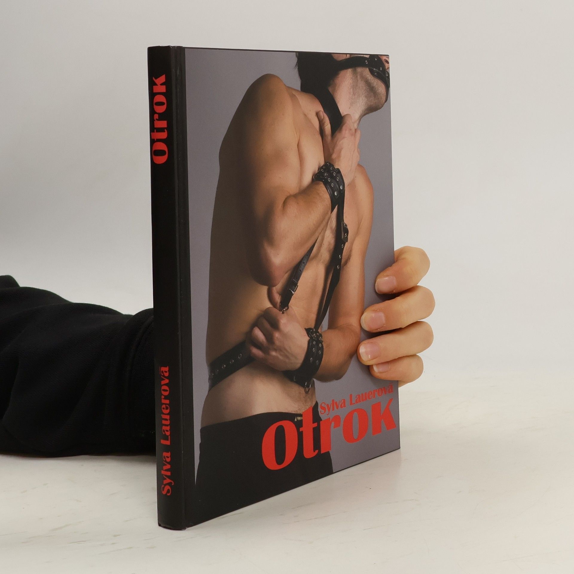 Sylva Lauerová Otrok