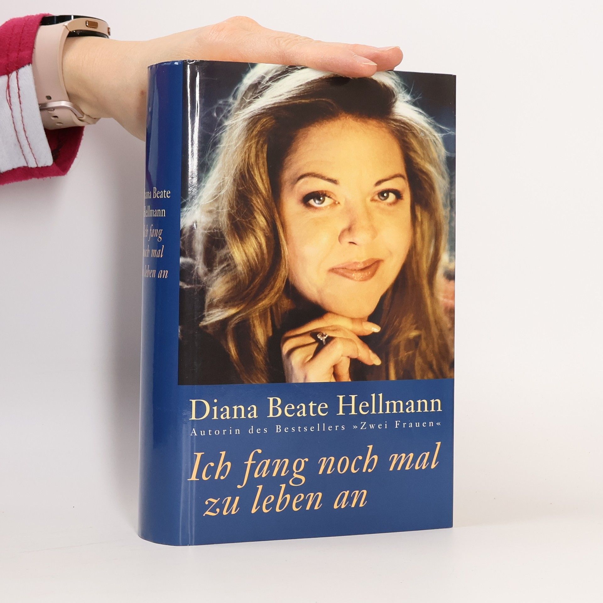 Diana Beate Hellmann Ich fang noch mal zu leben an