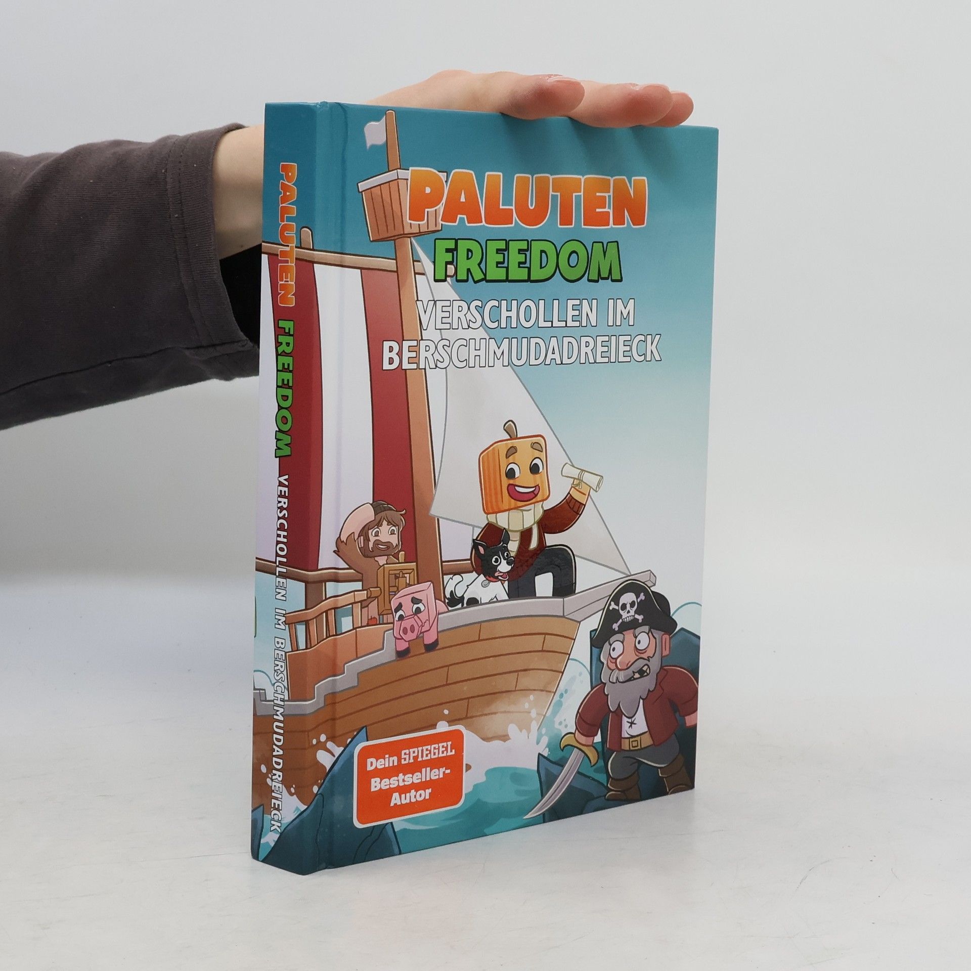 Freedom. Verschollen im Berschmudadreieck