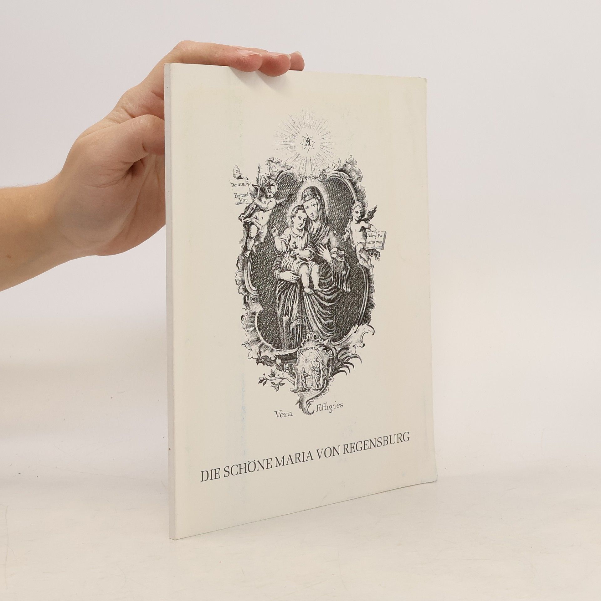 Achim Hubel Die Schöne Maria von Regensburg