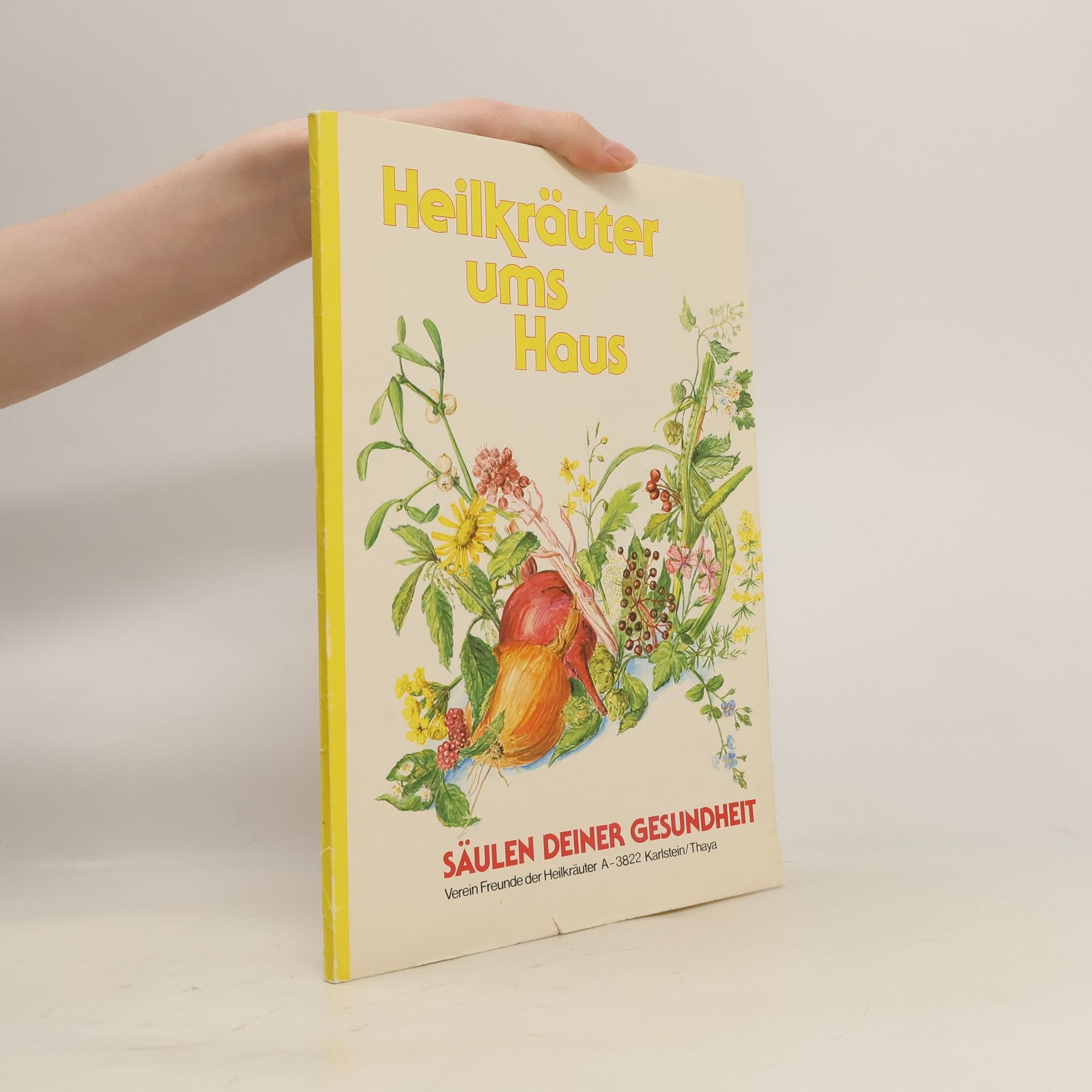 Collectif d'auteurs Heilkräuter ums Haus : Säulen deiner Gesundheit