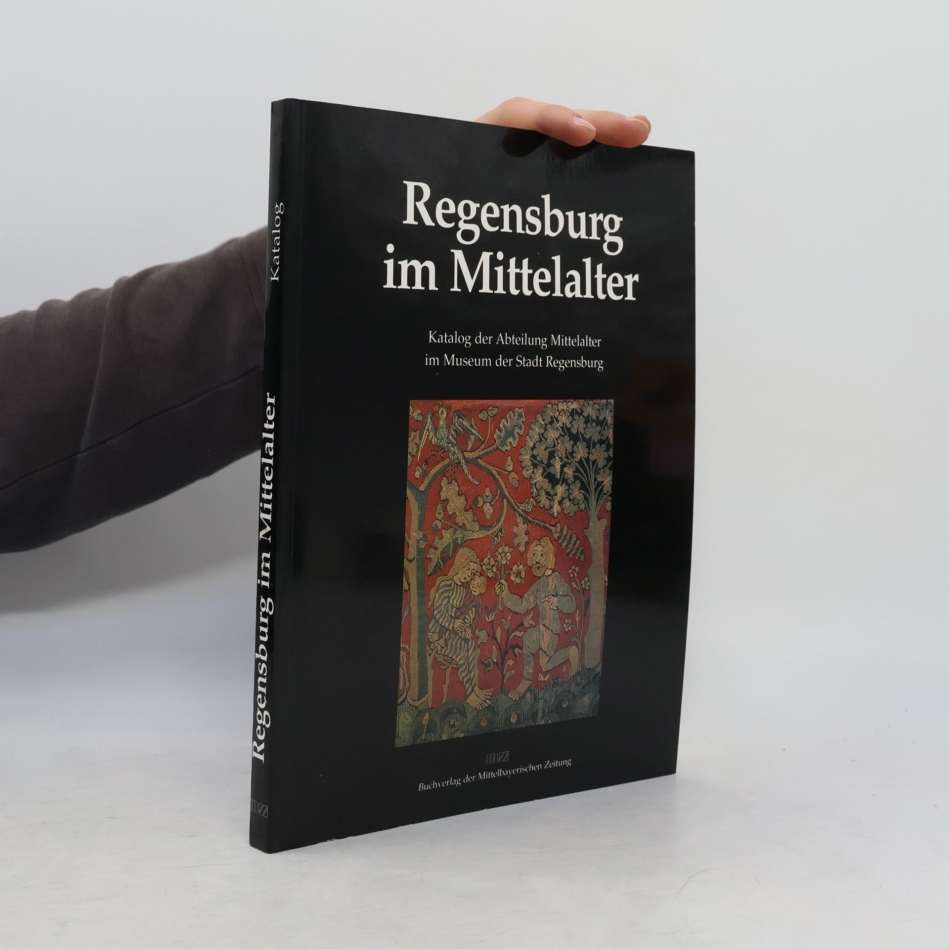 Martin Angerer Regensburg im Mittelalter