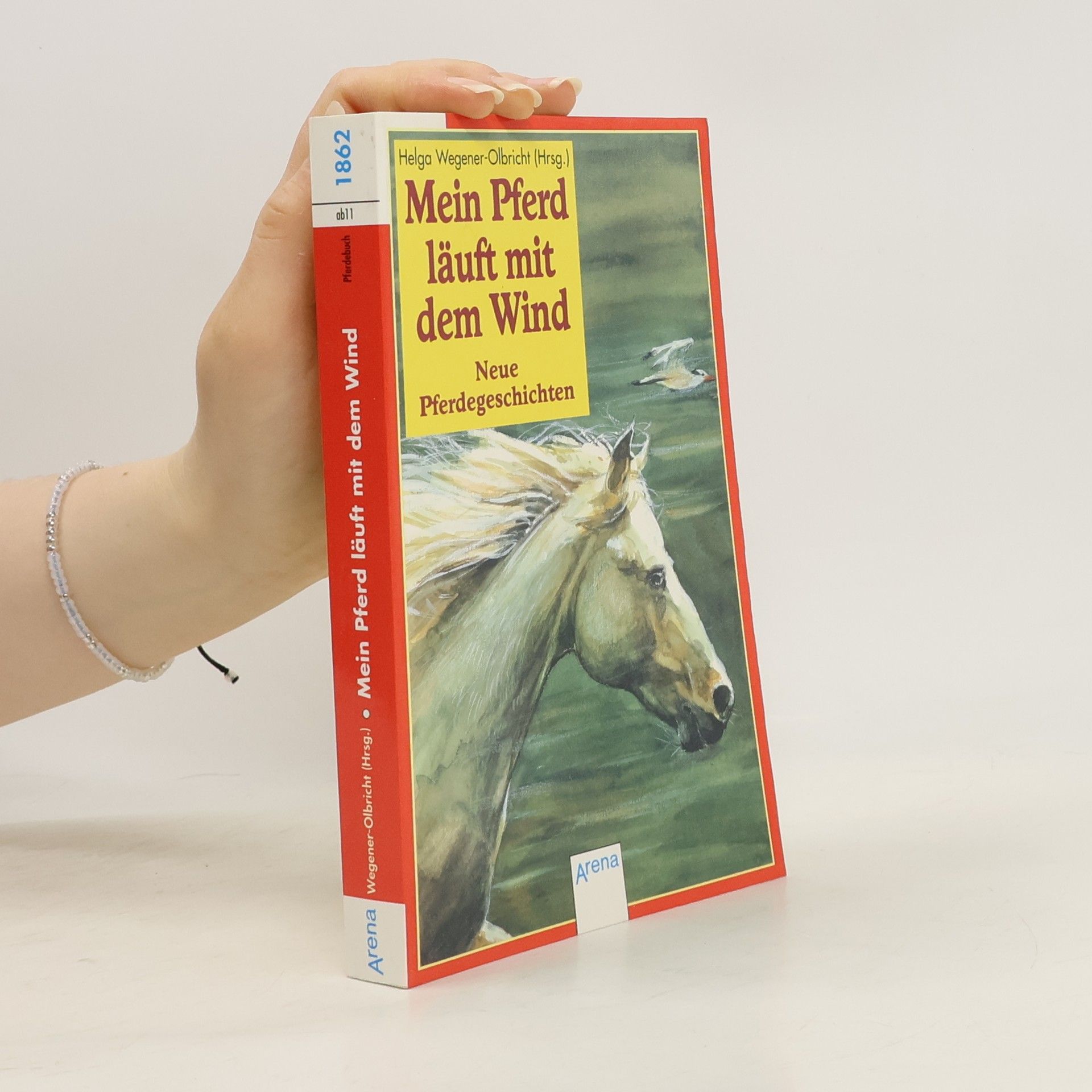 Collectif d'auteurs Mein Pferd läuft mit dem Wind