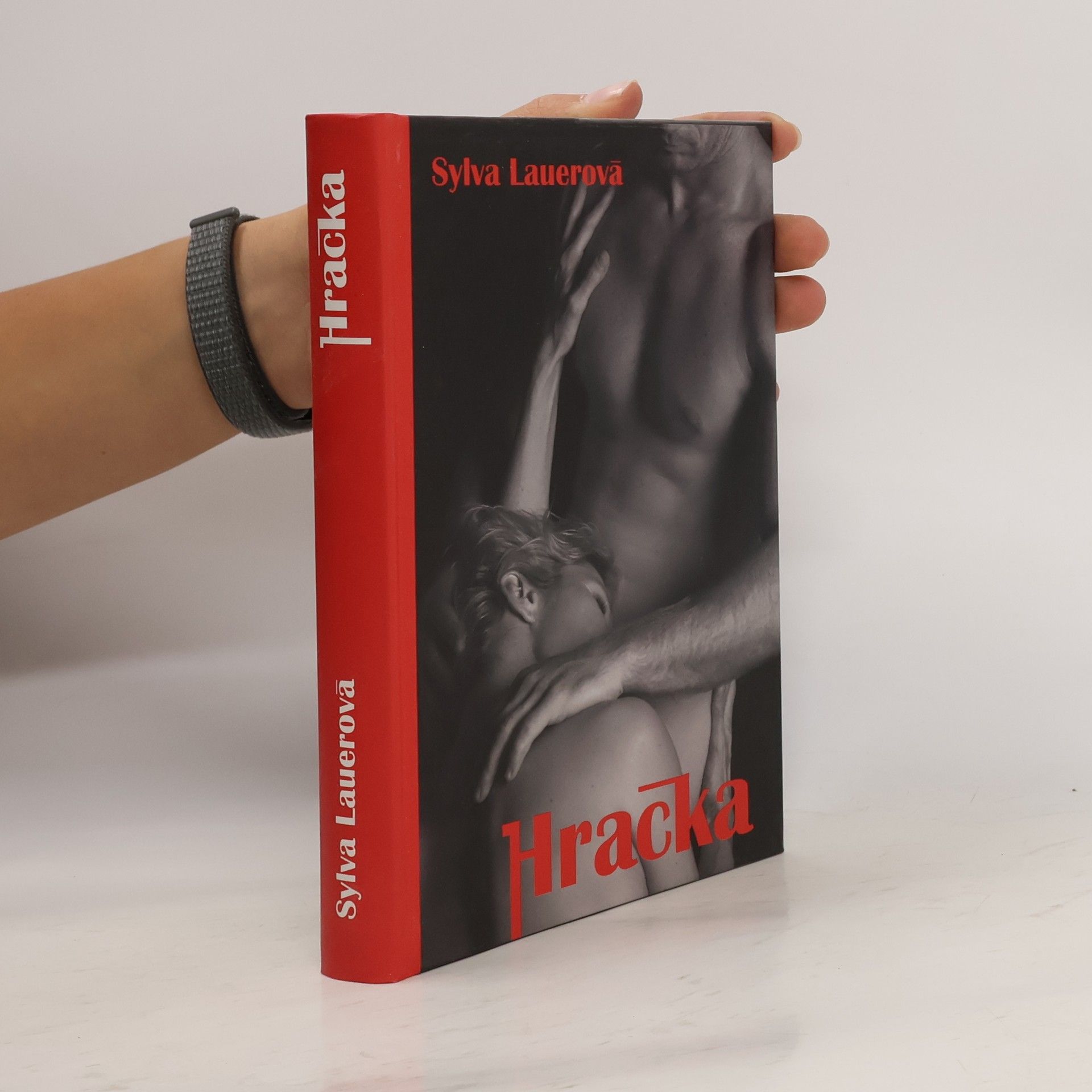 Sylva Lauerová Hračka