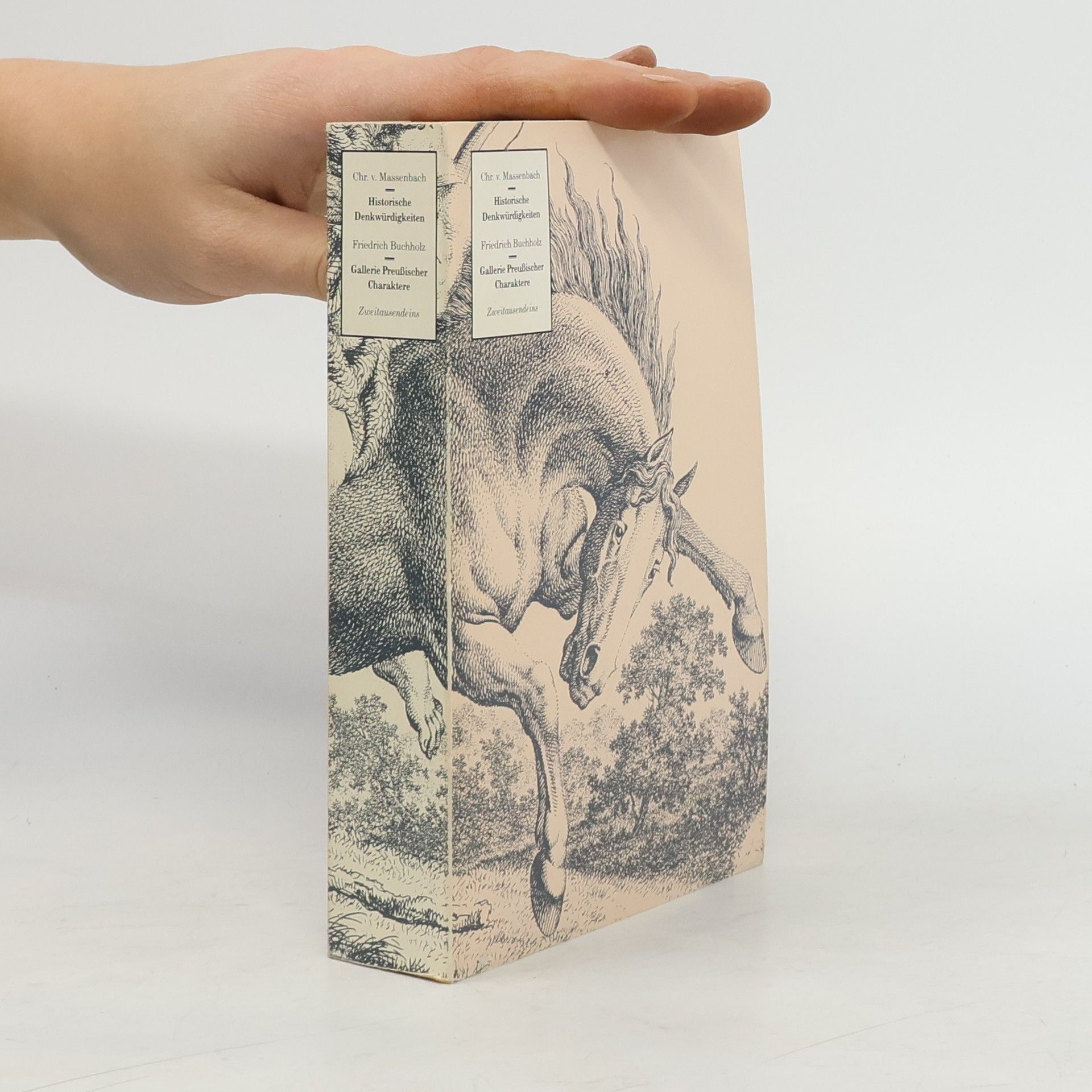 Collectif d'auteurs Historische Denkwürdigkeiten zur Geschichte des Verfalls des preußischen Staats seit dem Jahre 1794