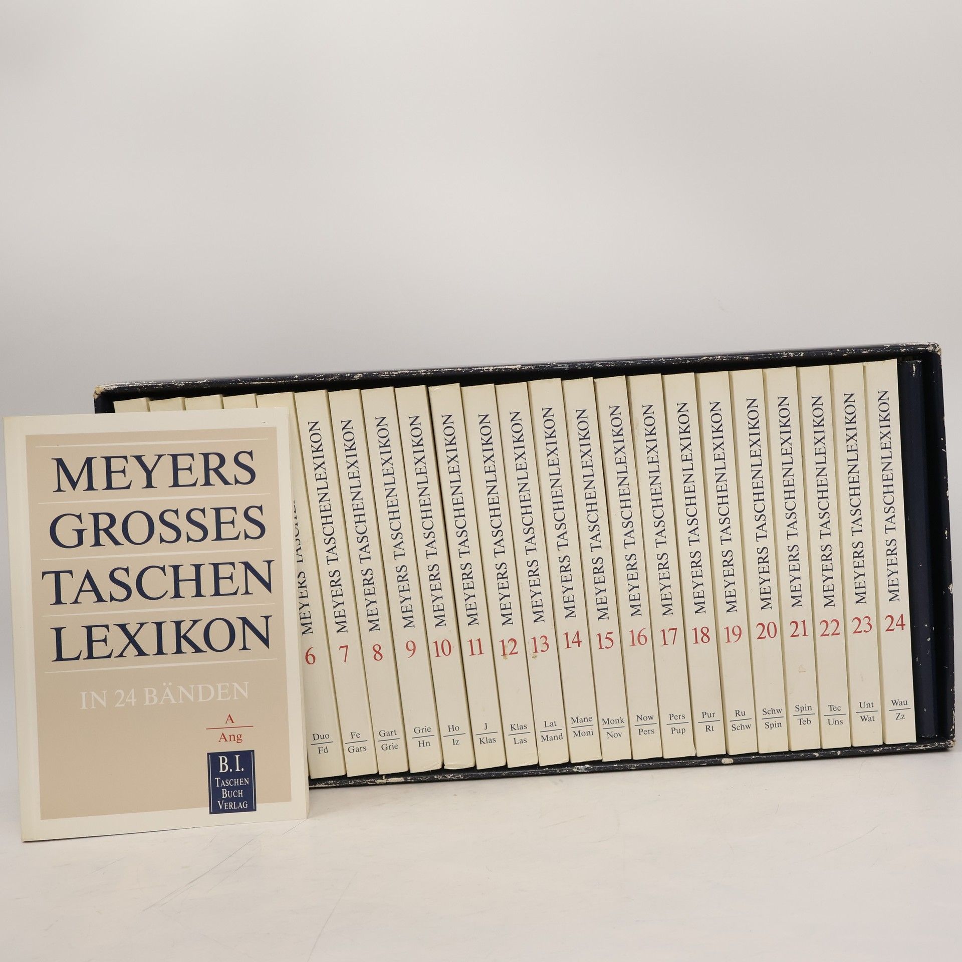 Collectif d'auteurs Meyers Grosses Taschen Lexikon in 24 Bänden