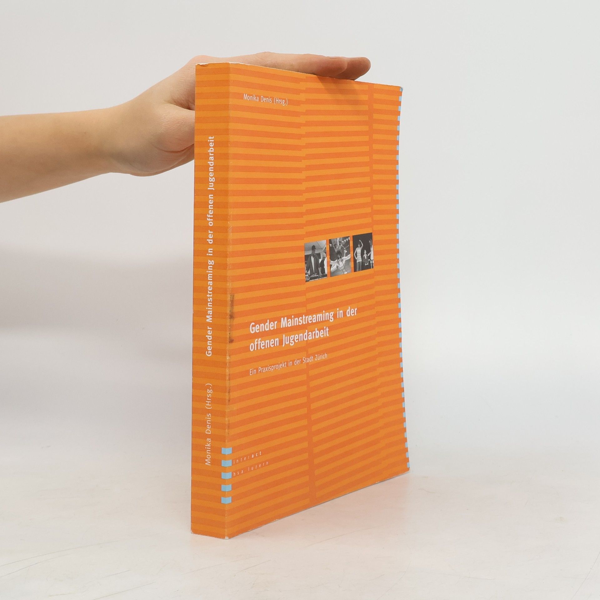 Monika Denis Gender Mainstreaming in der offenen Jugendarbeit