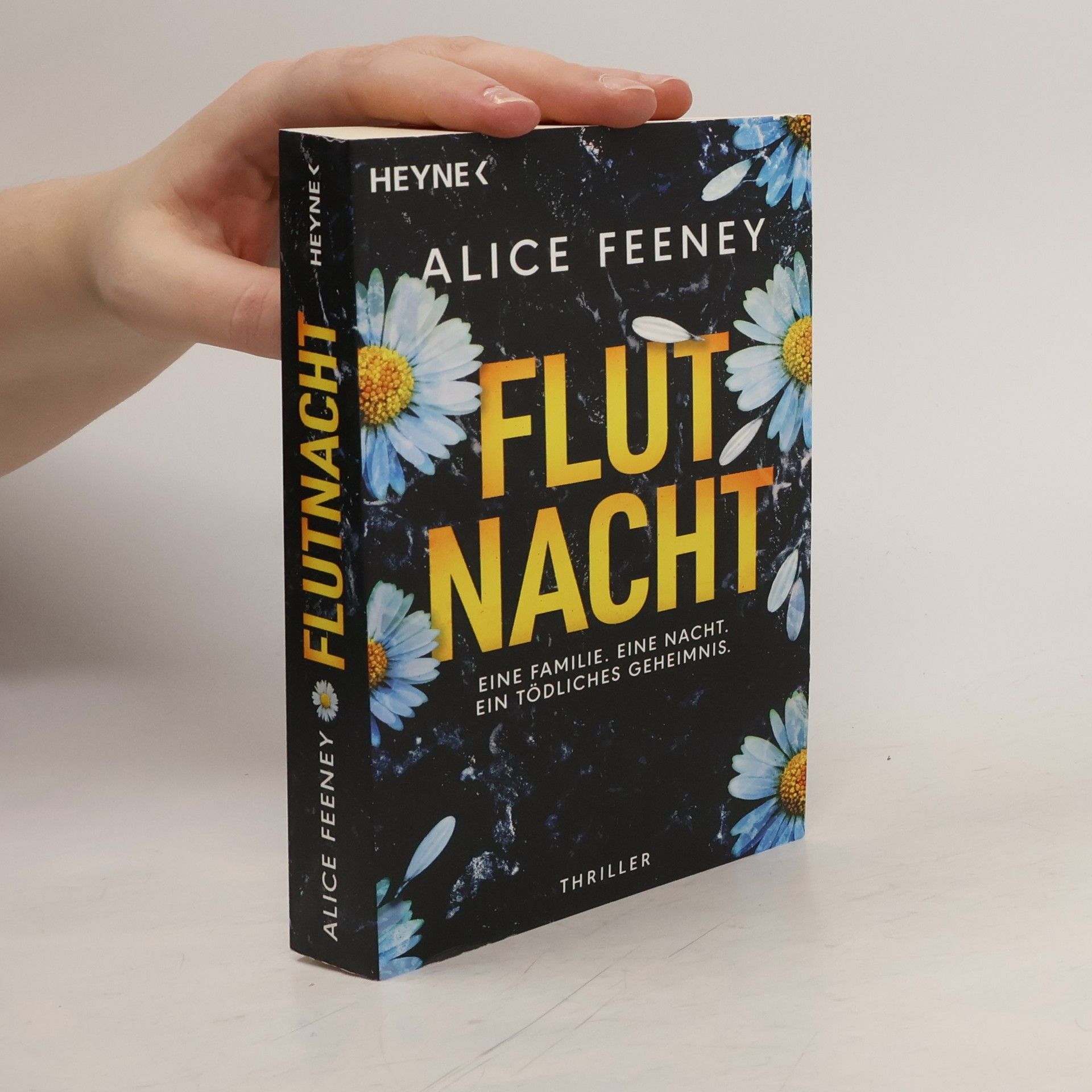 Flutnacht – Eine Familie. Eine Nacht. Ein tödliches Geheimnis.. Thriller