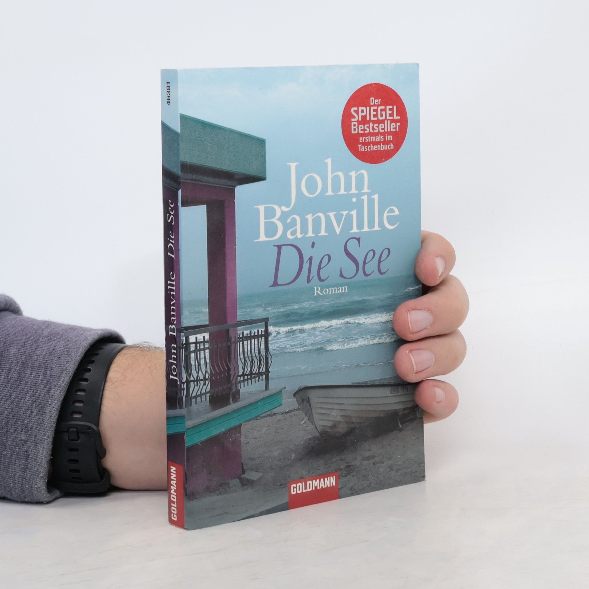 John Banville Die See