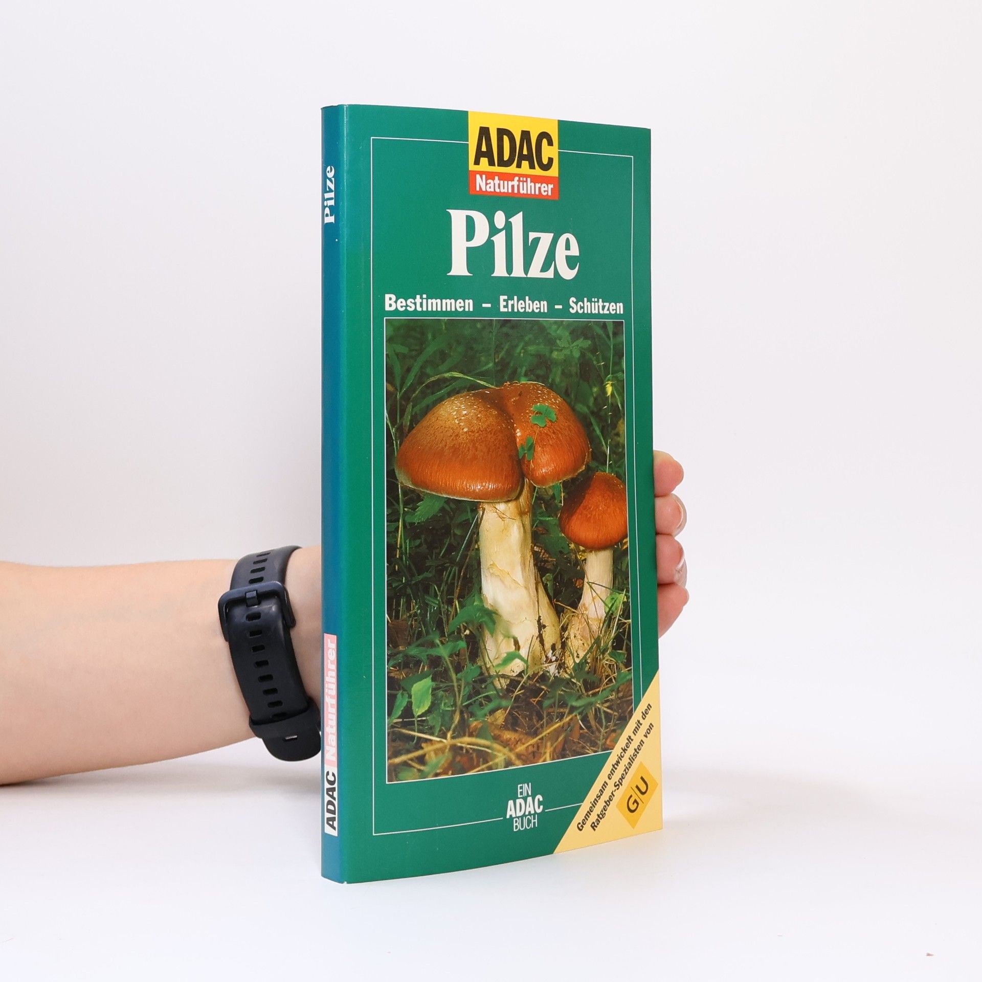 Pilze