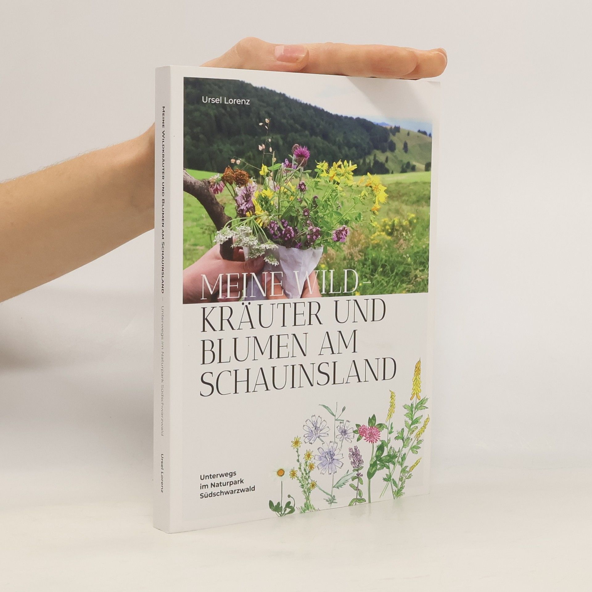 Ursel Lorenz Meine Wildkräuter und Blumen am Schauinsland