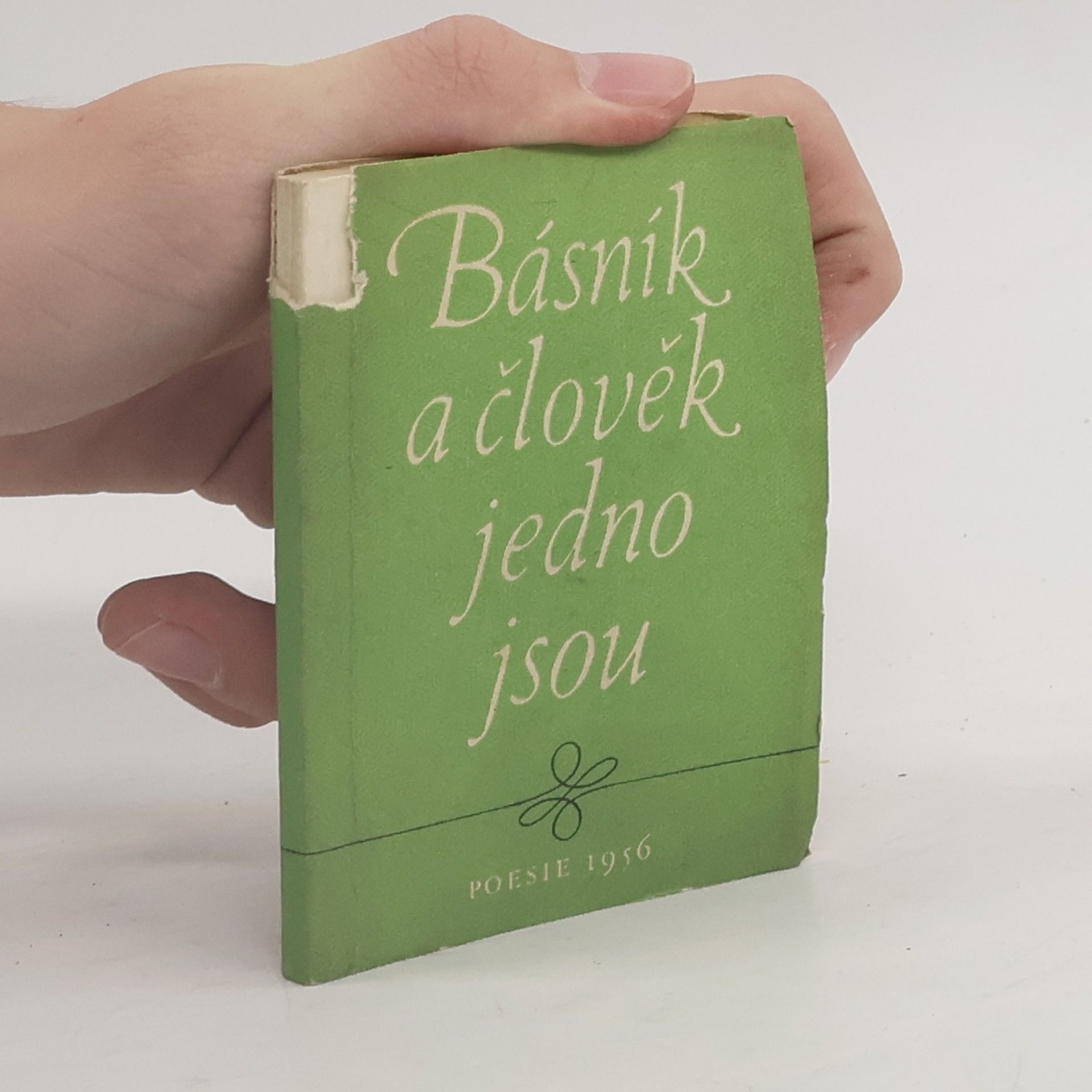 Kolektív autorov Básník a člověk jedno jsou